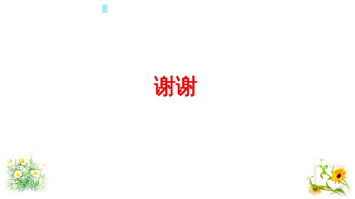 45.jpg