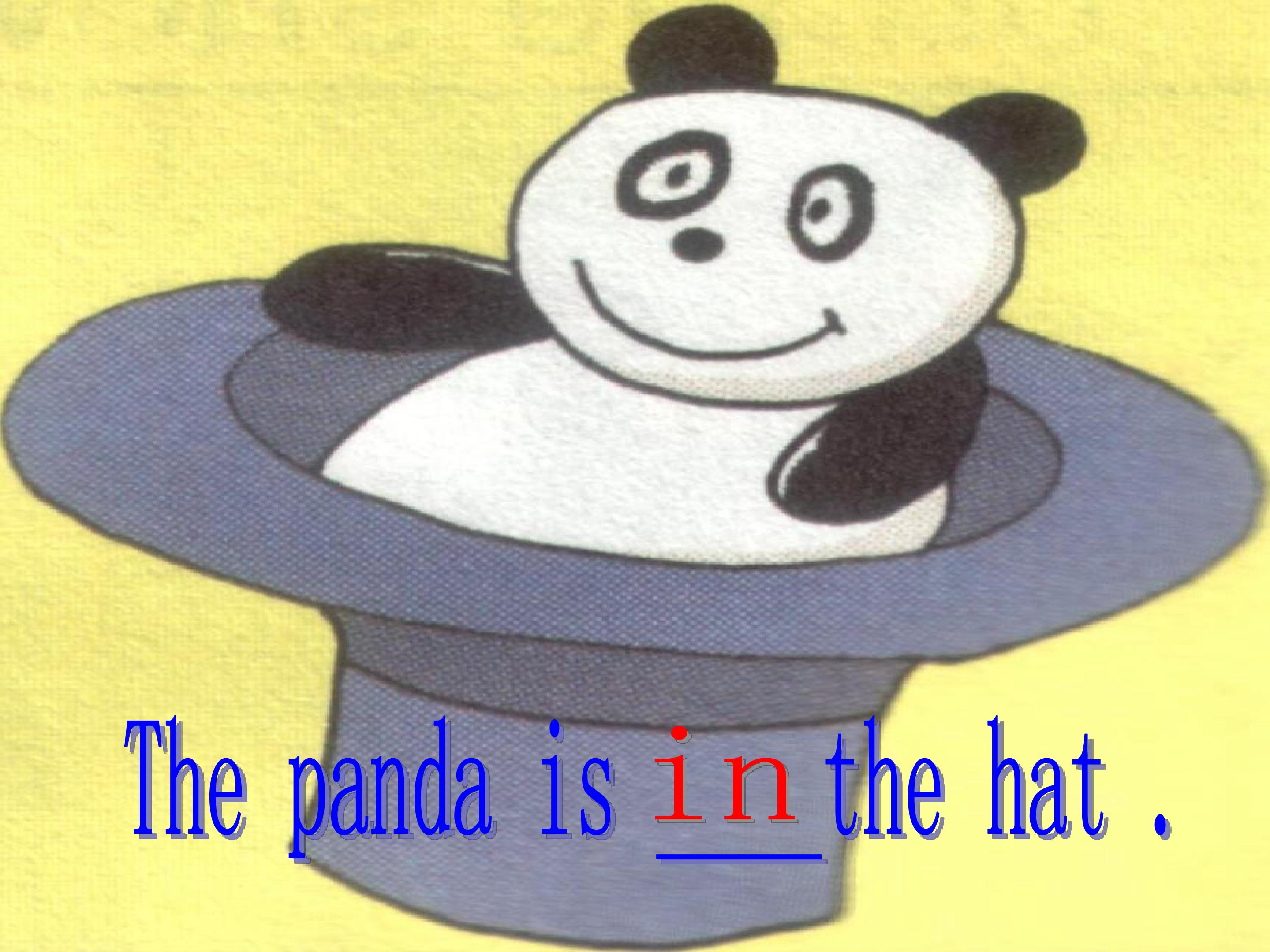 29.jpg