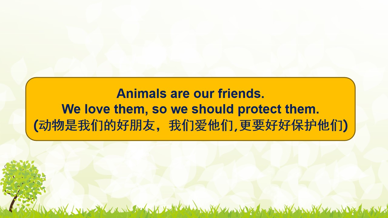 47.jpg