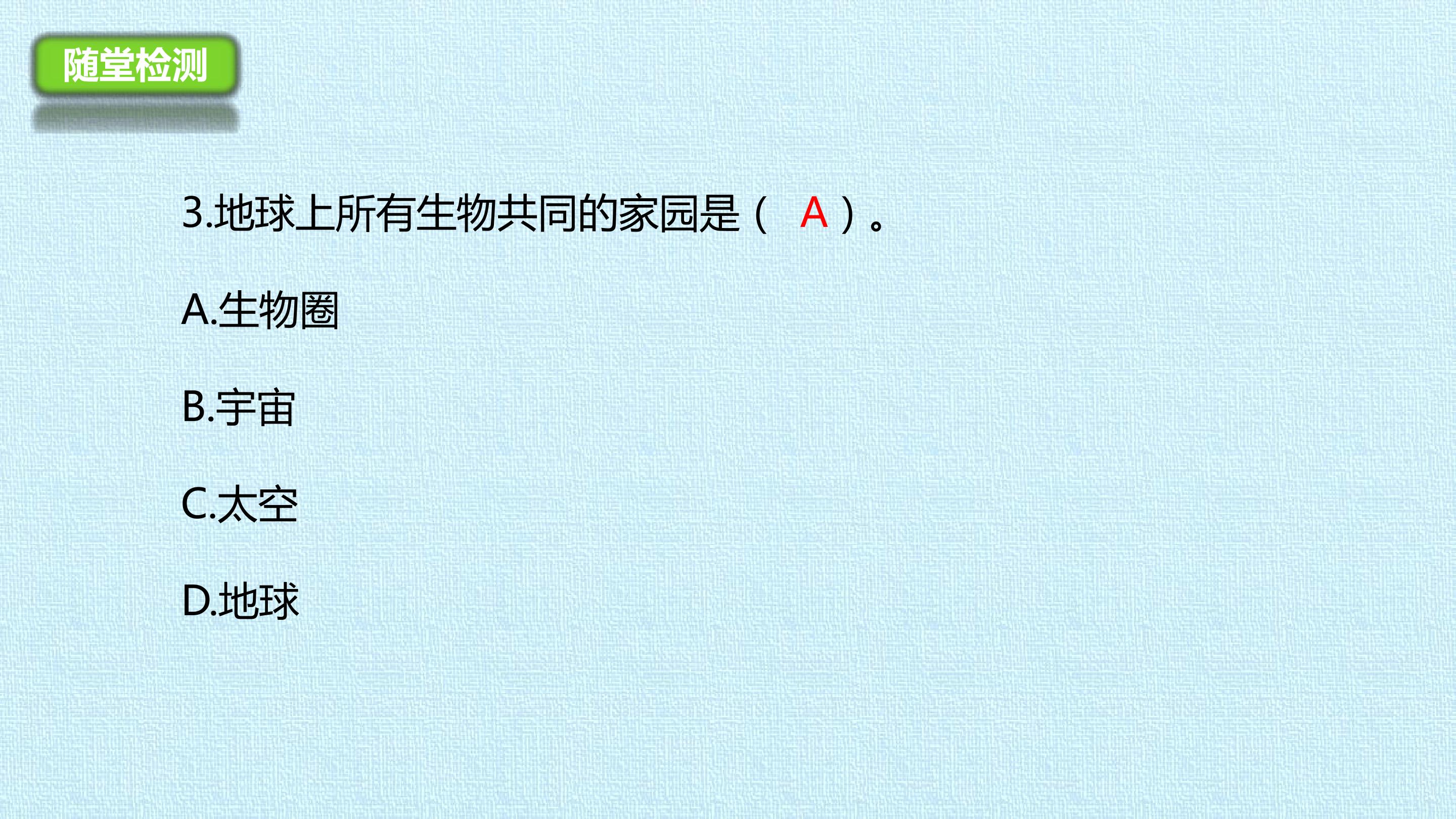 46.jpg