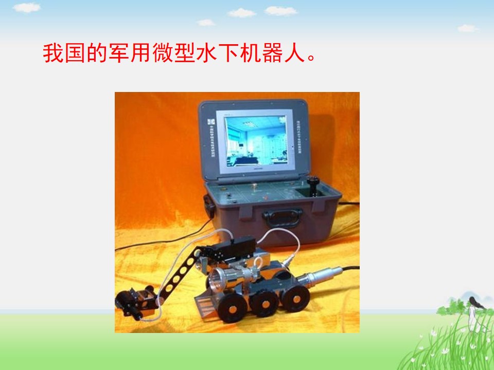15.jpg