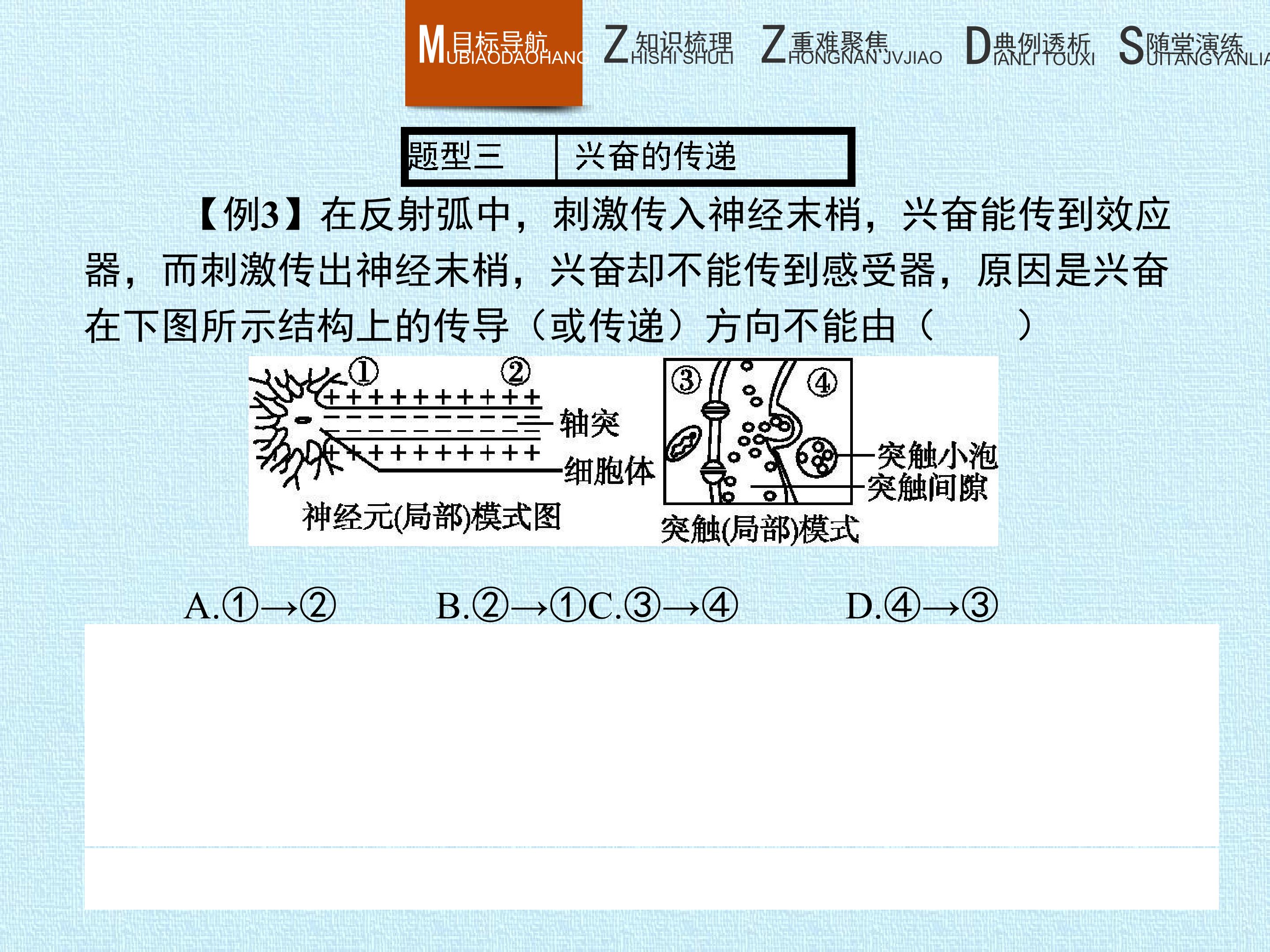 117.jpg