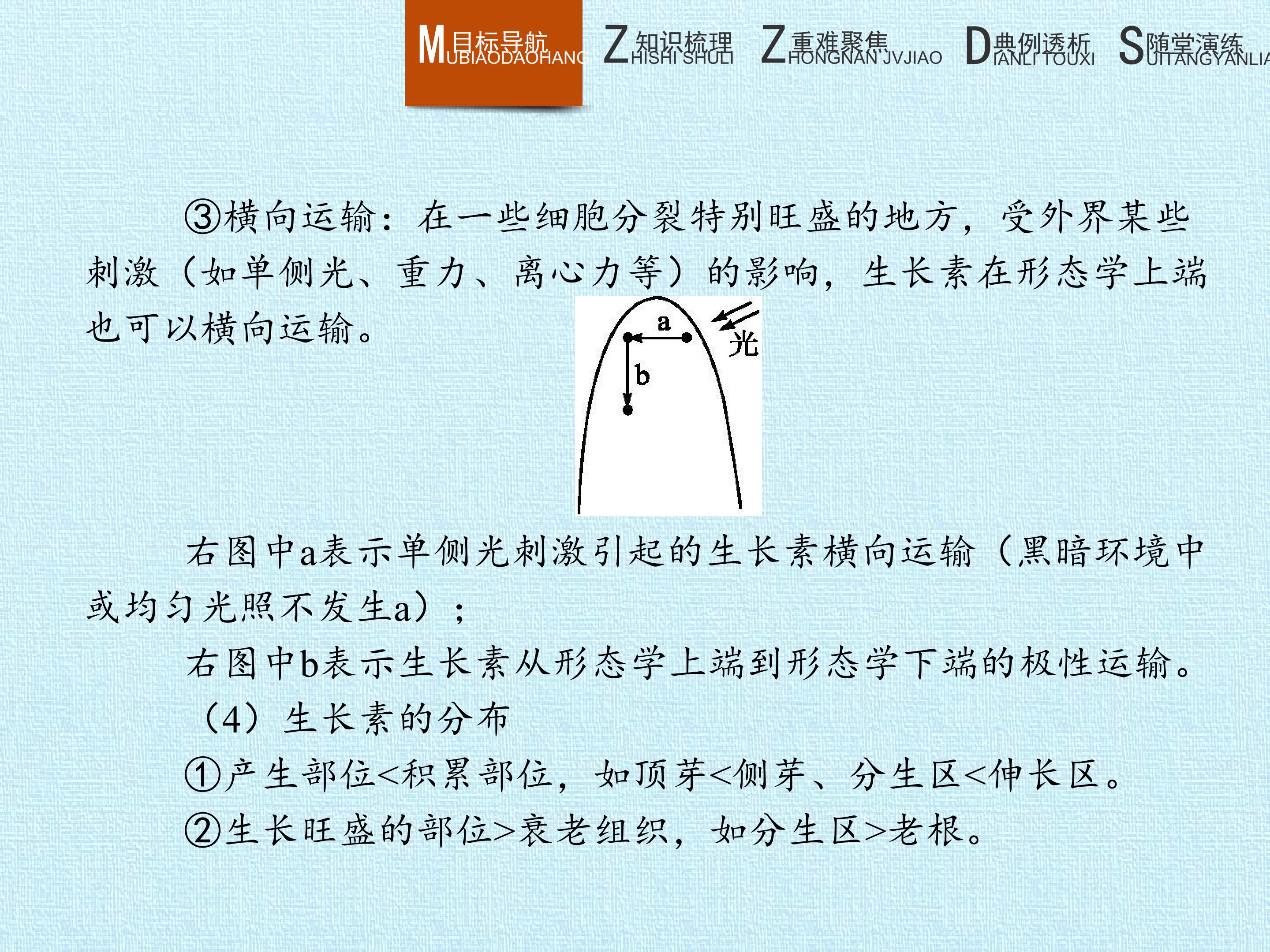 178.jpg