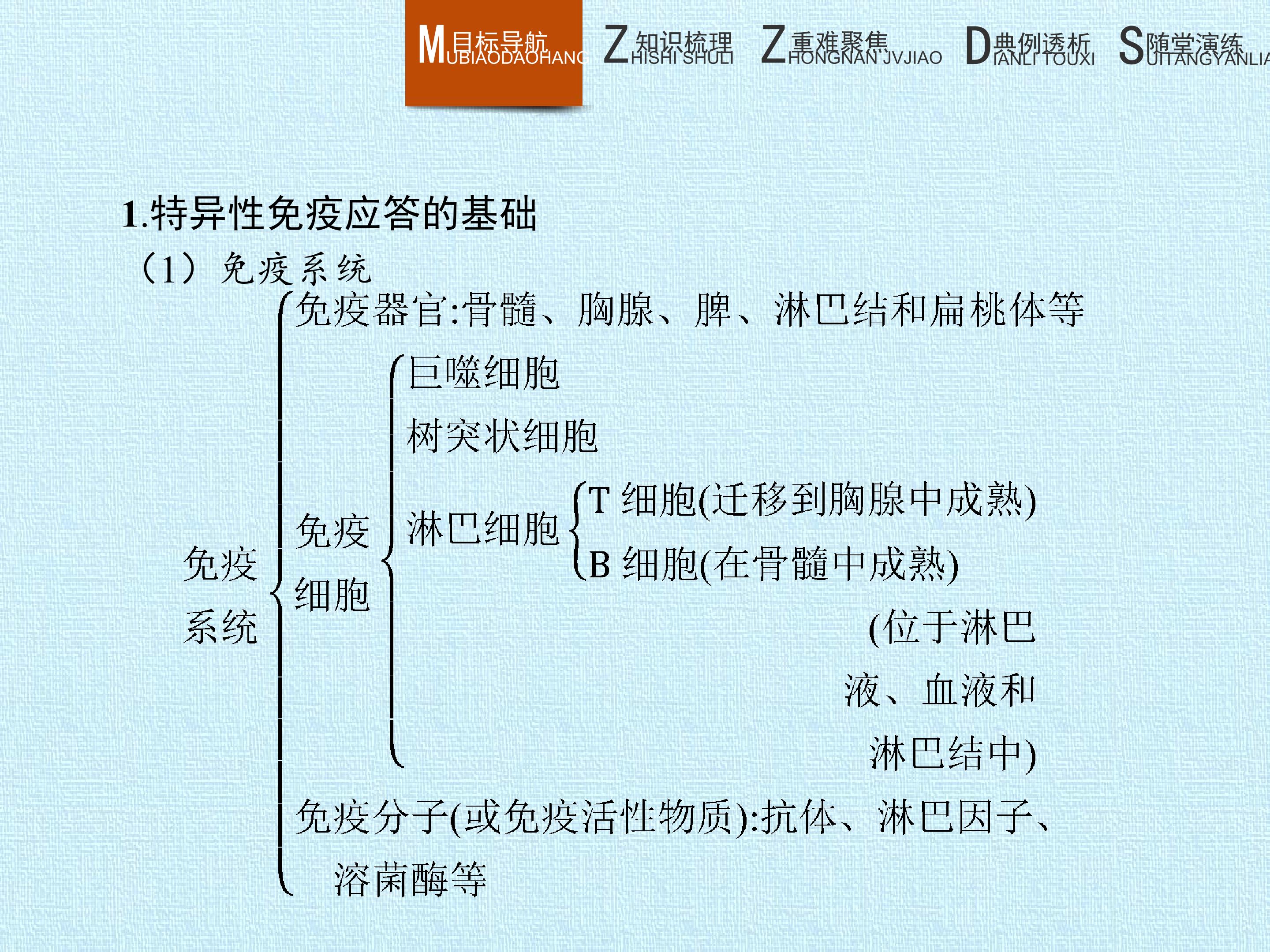 77.jpg