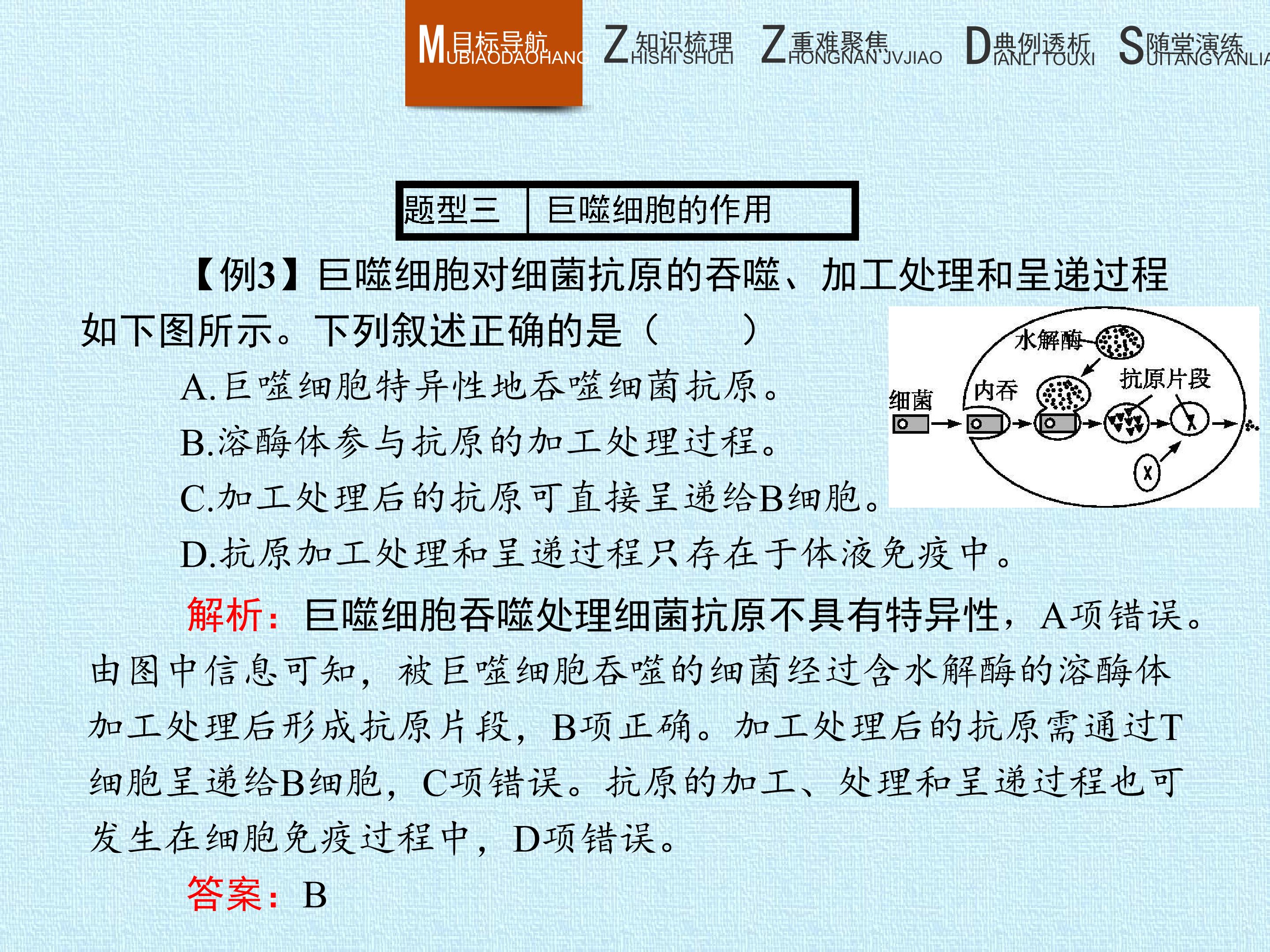 87.jpg