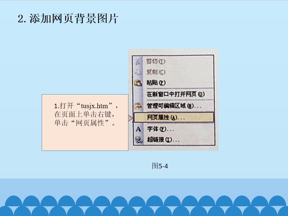 5.jpg