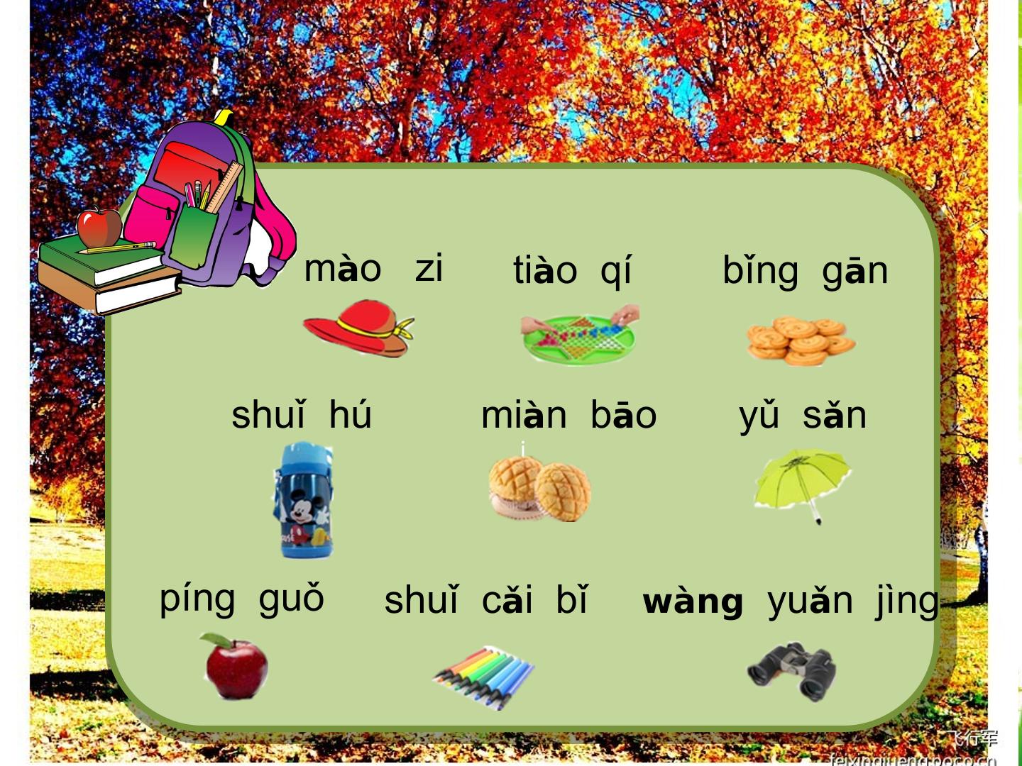 14.jpg