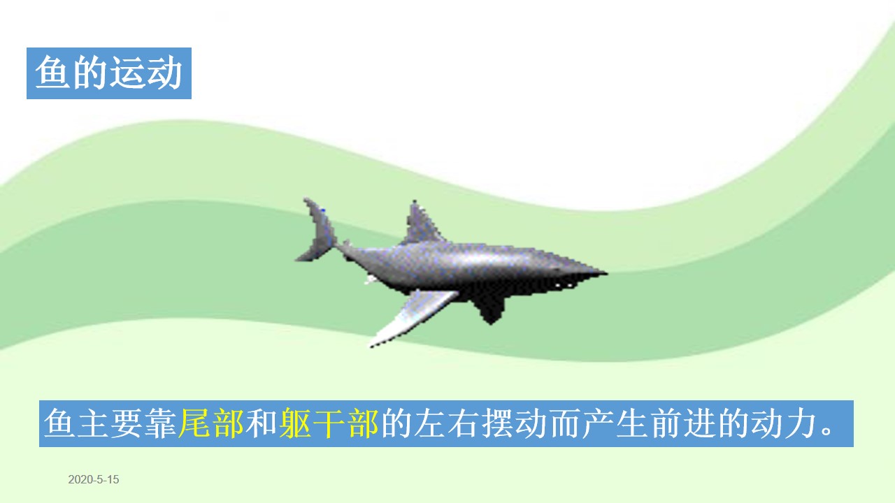 18.jpg