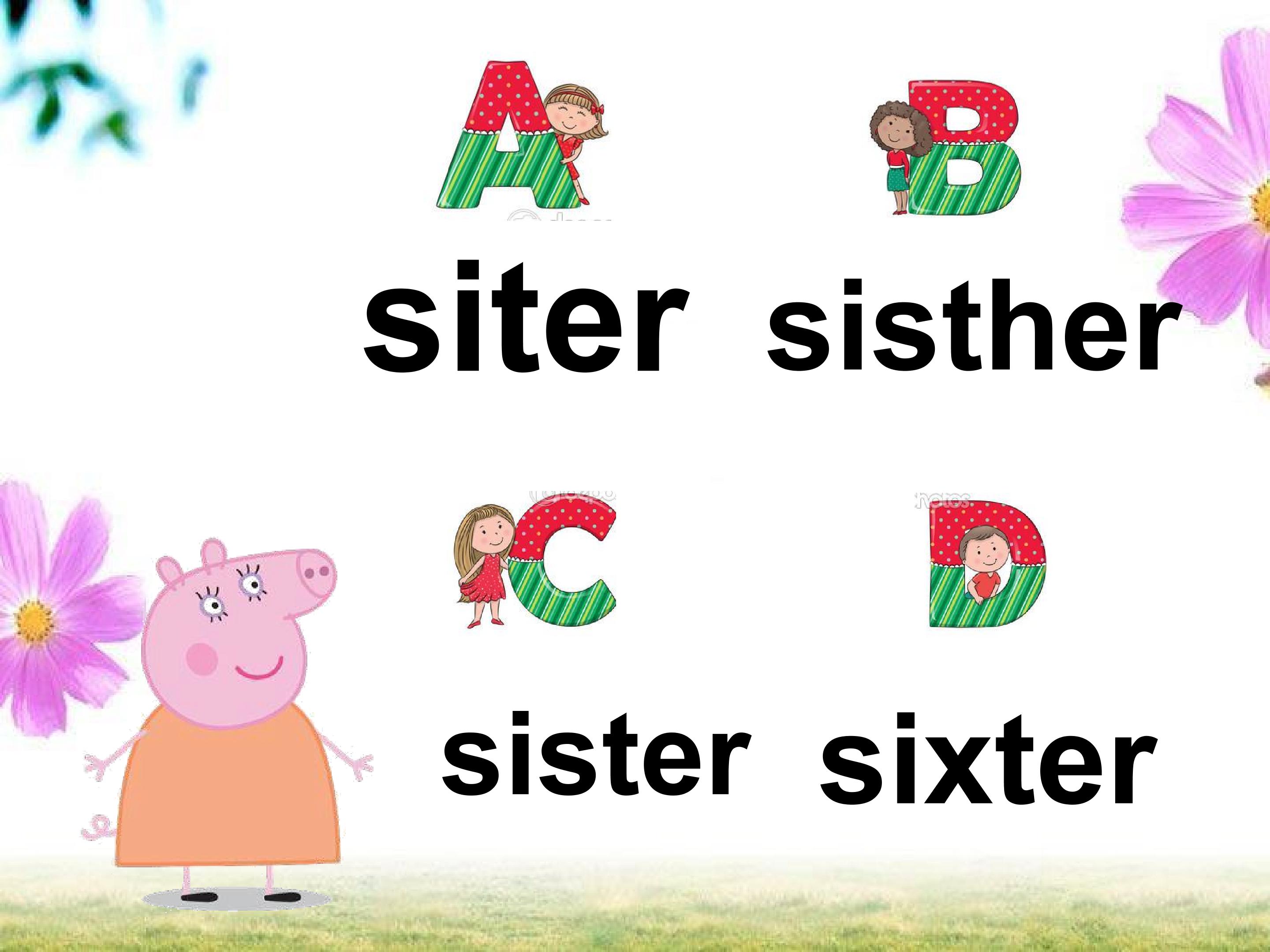 41.jpg