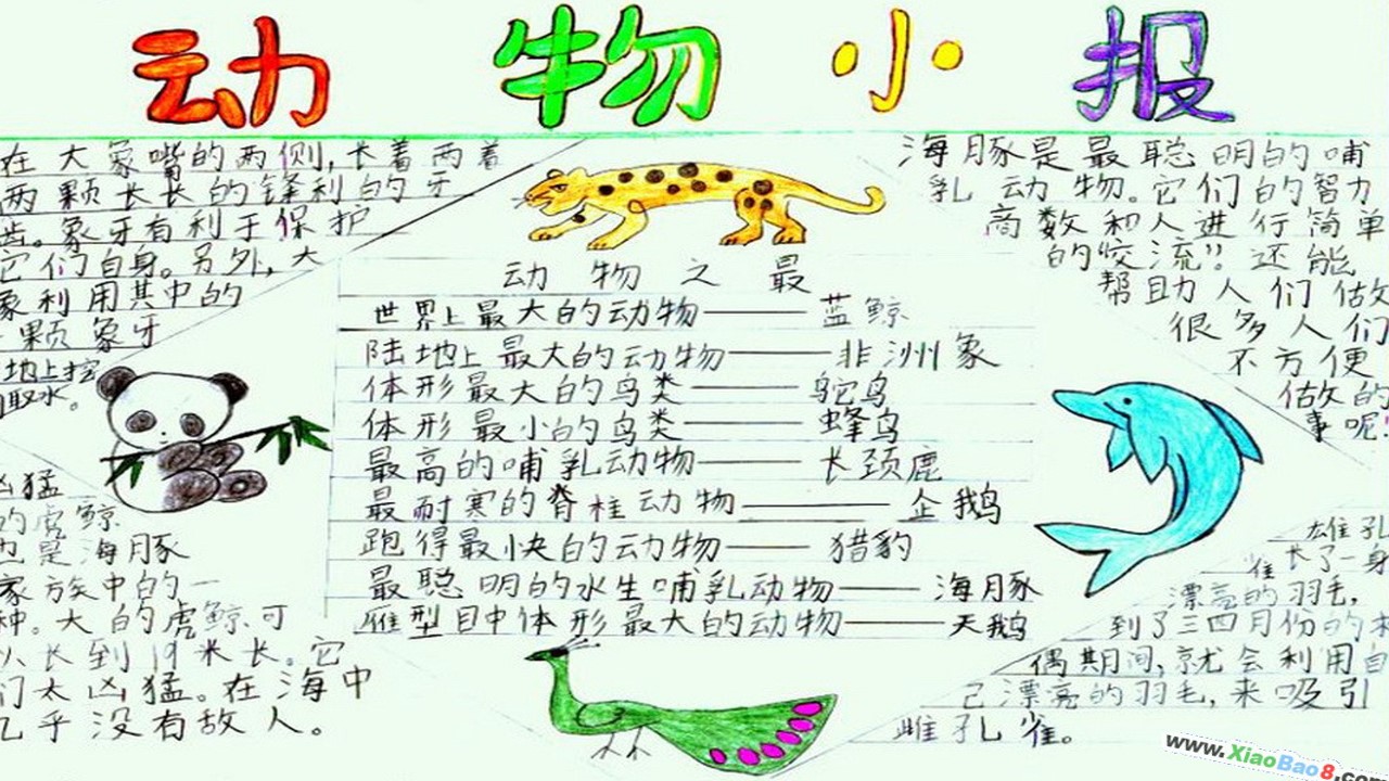 39.jpg