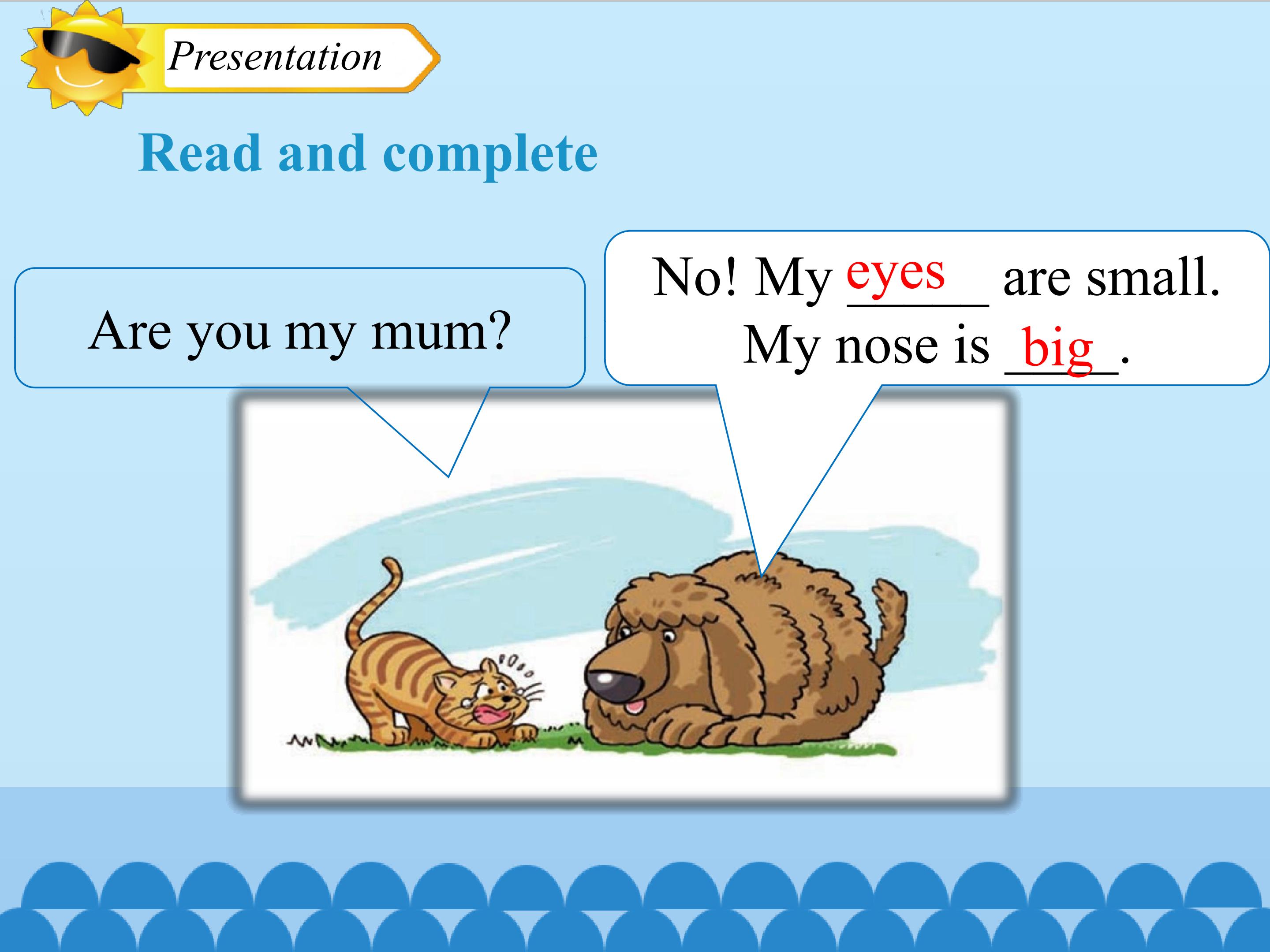 17.jpg