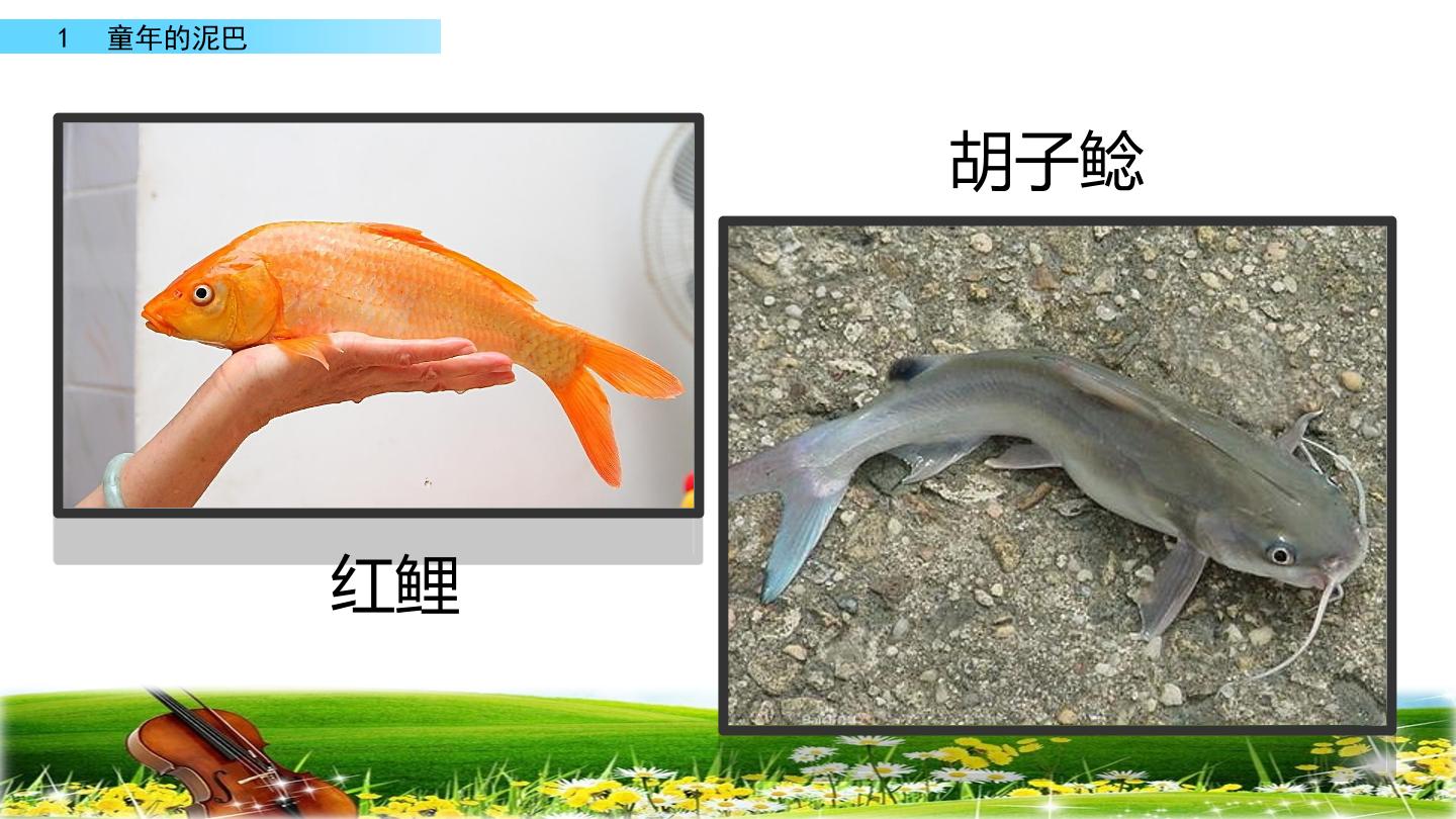 46.jpg