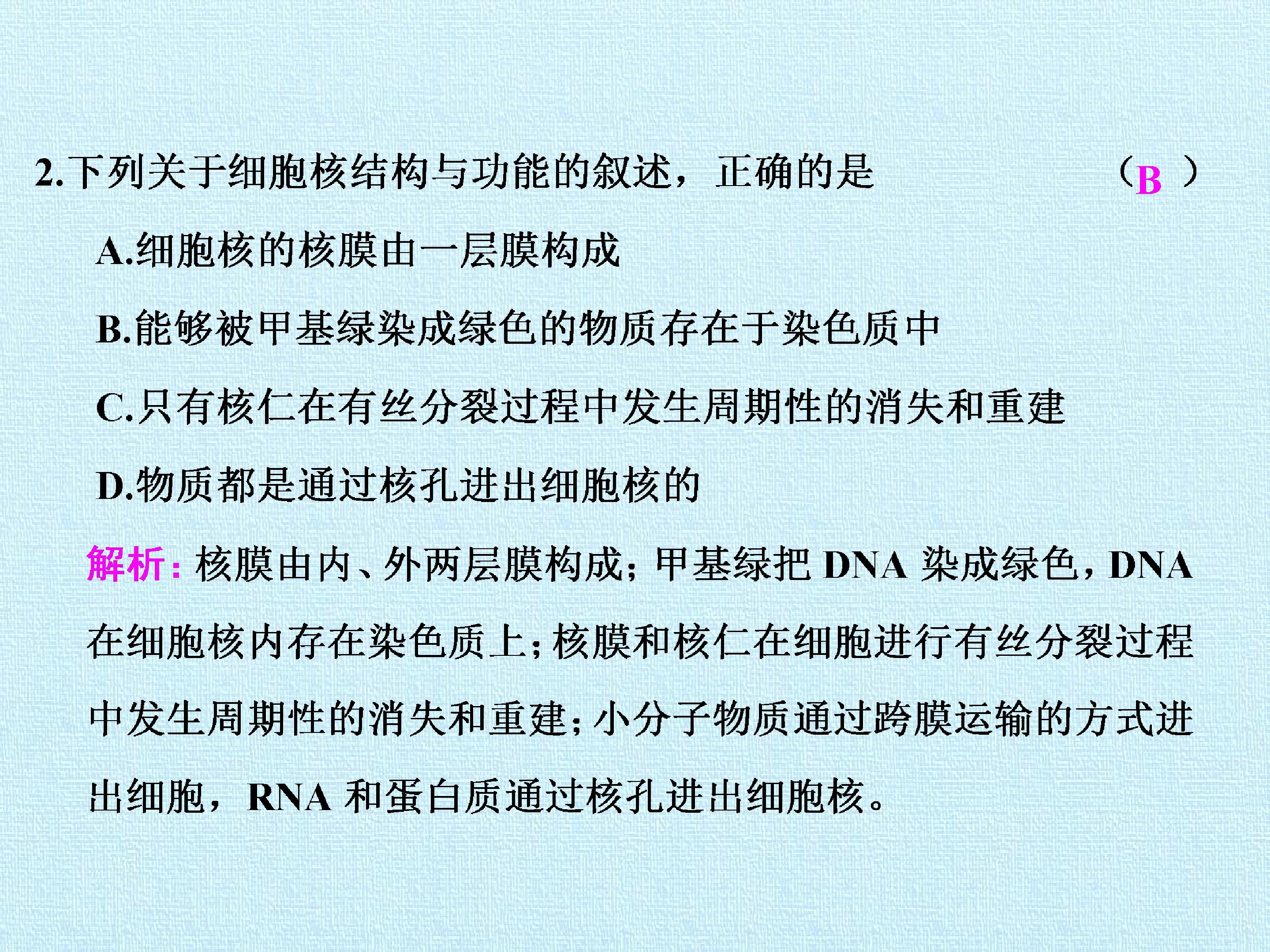 102.jpg