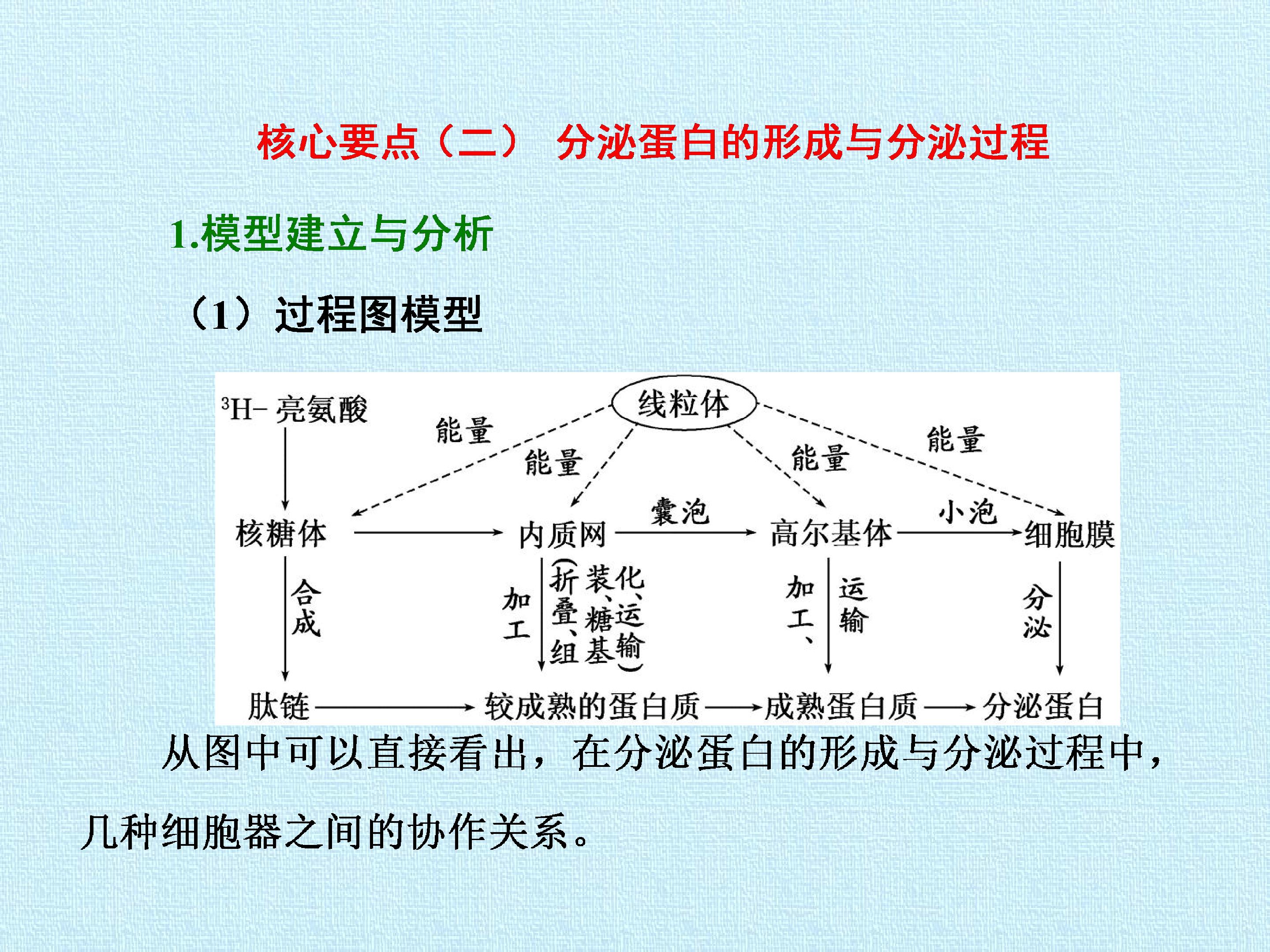 103.jpg