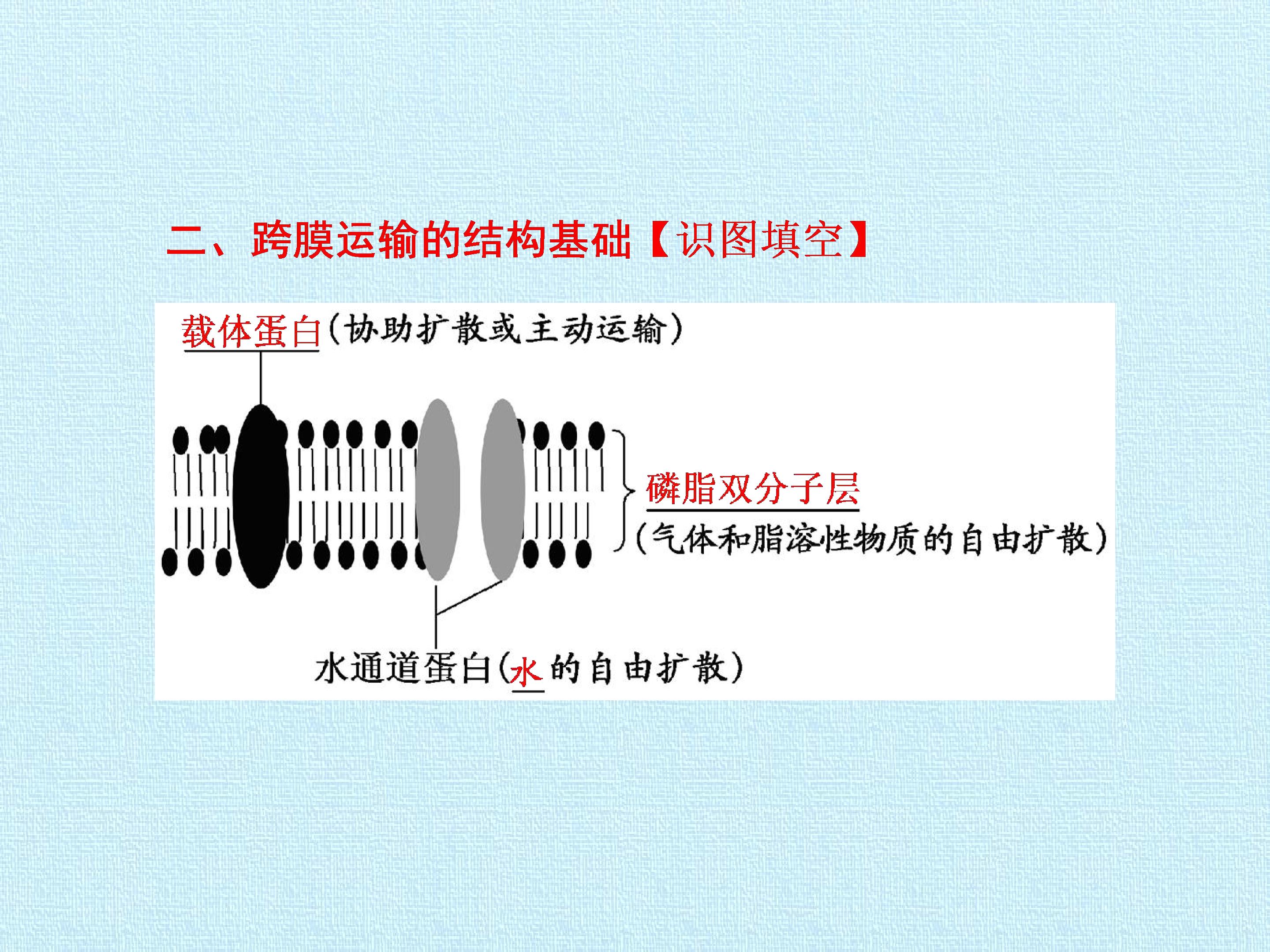 114.jpg