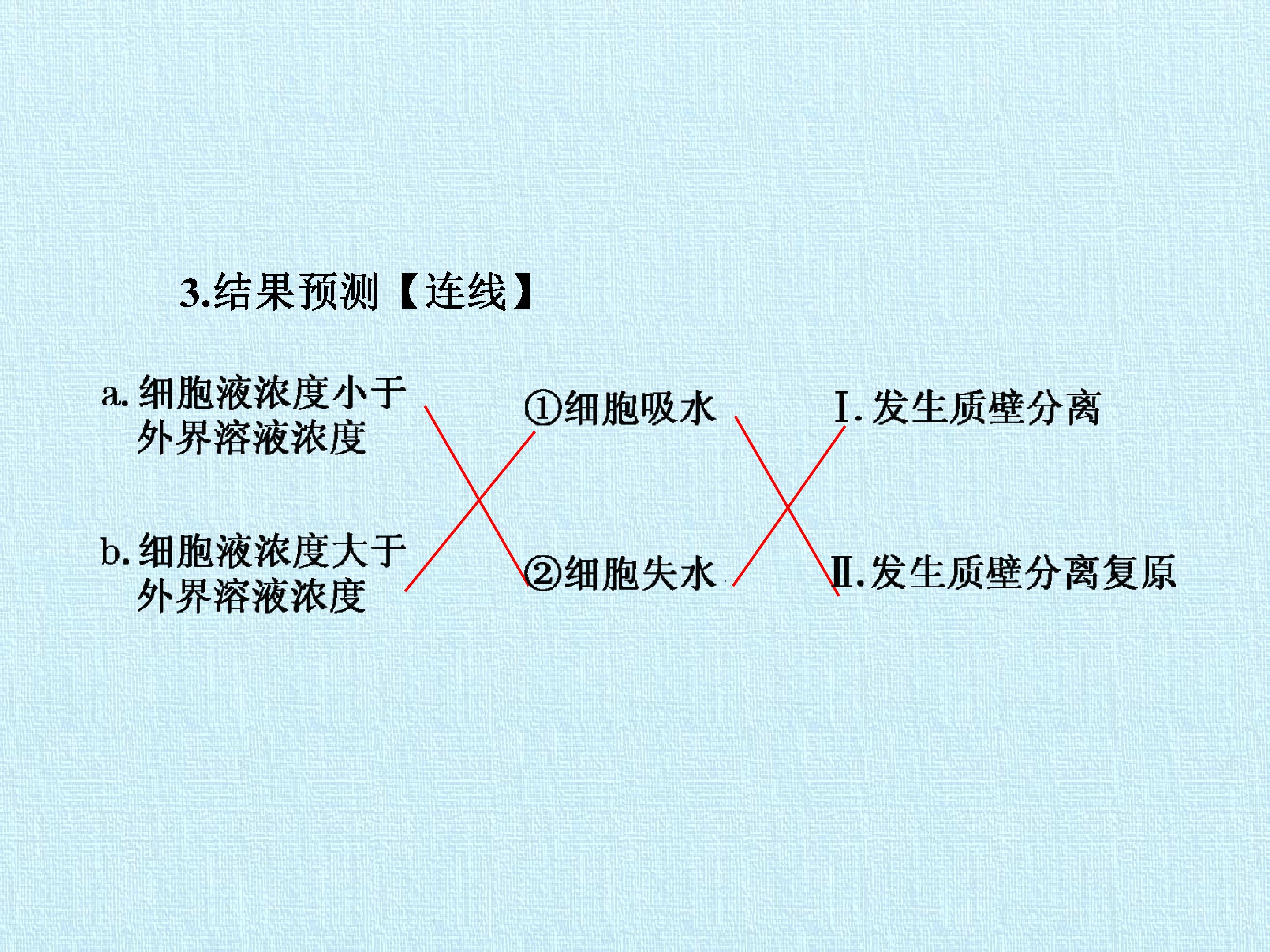 135.jpg