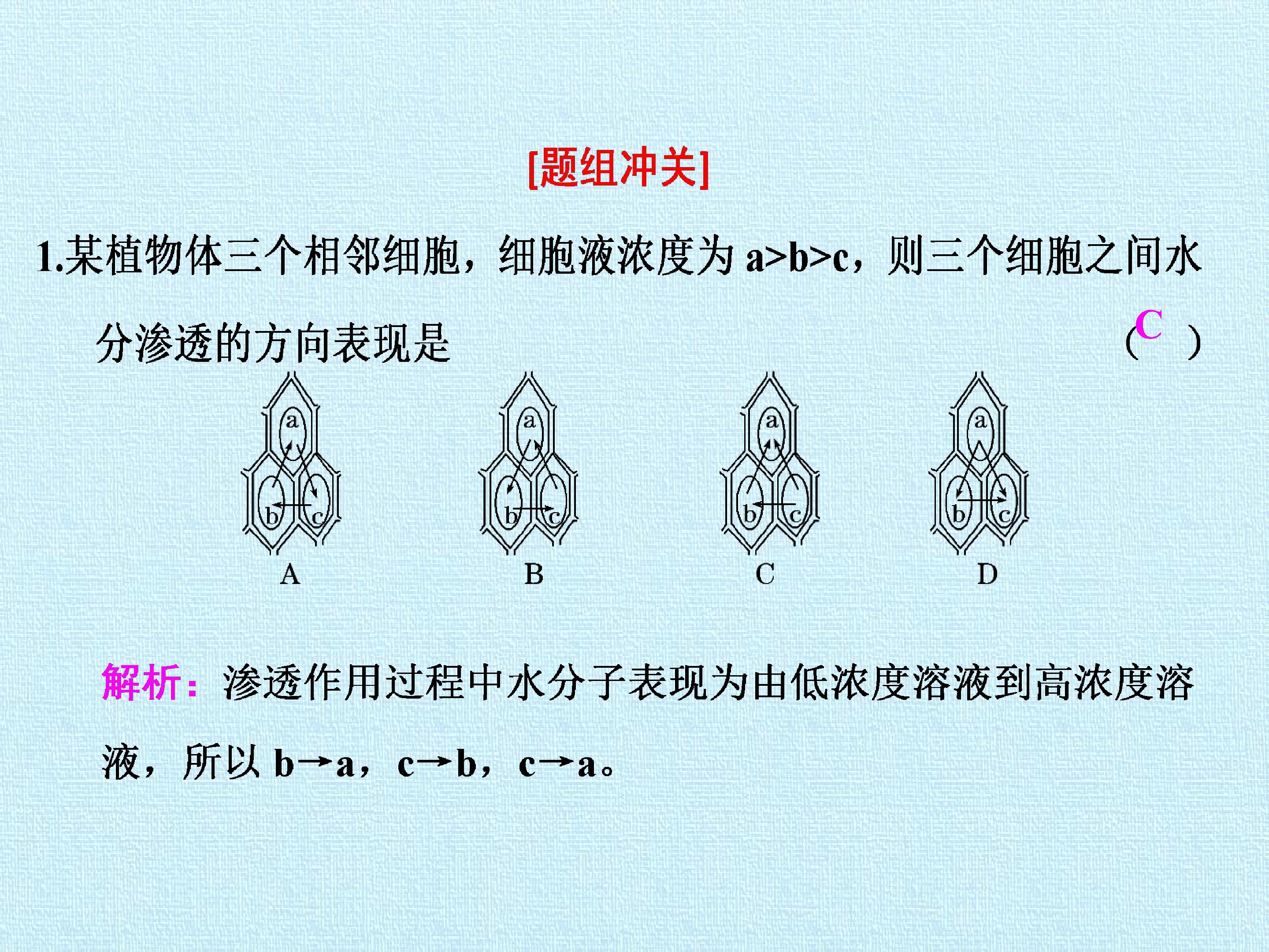 156.jpg