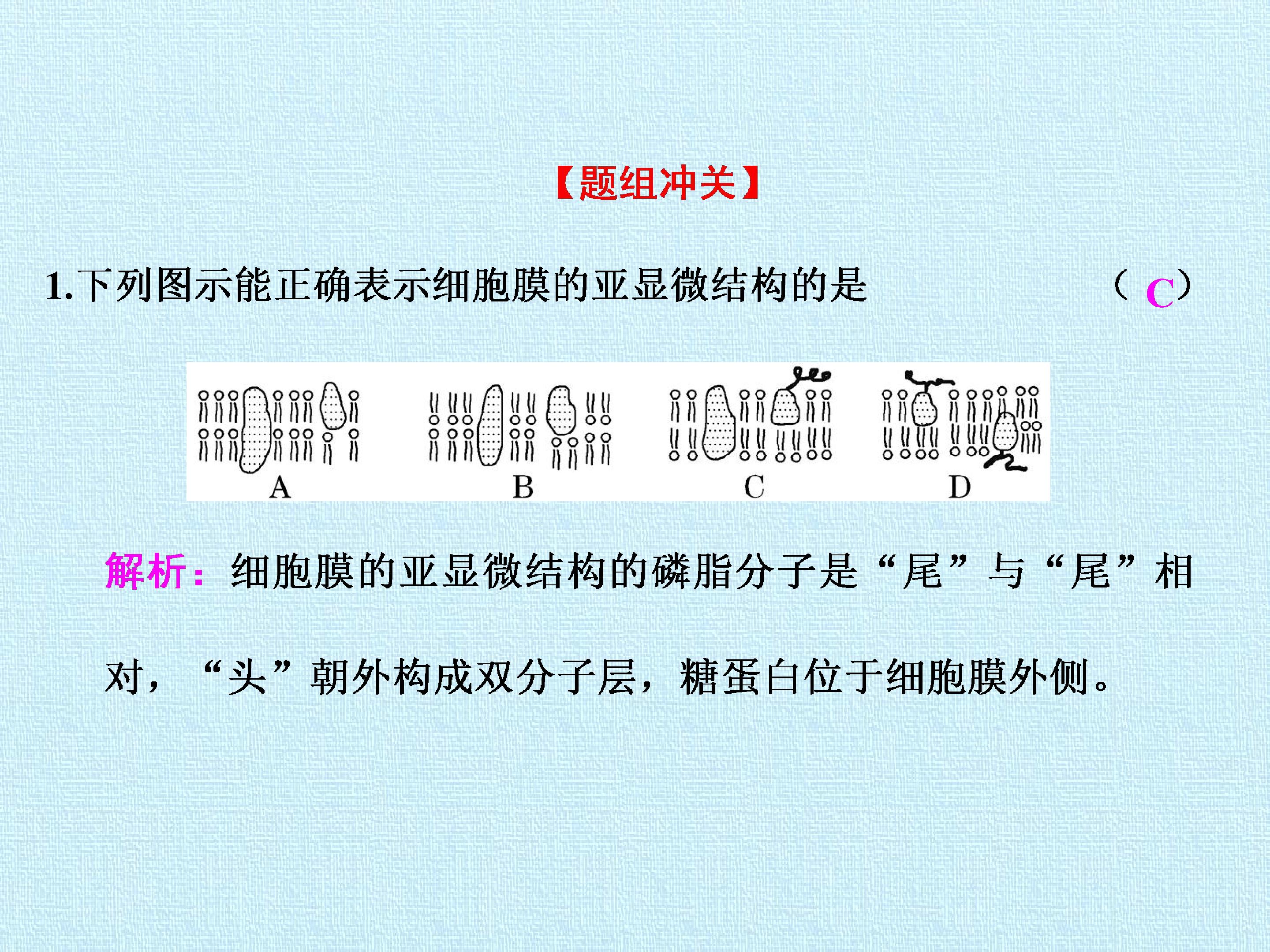49.jpg
