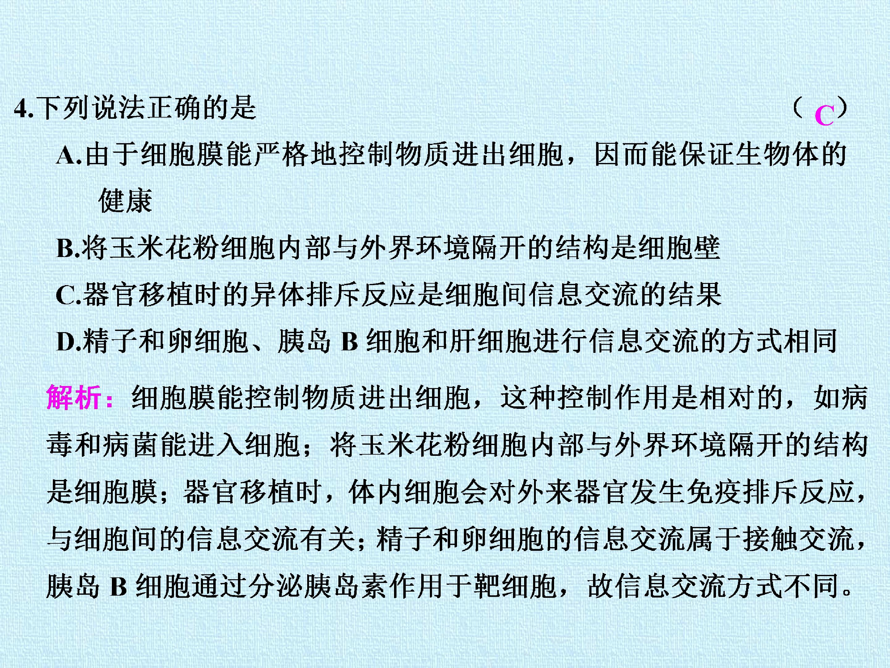 53.jpg