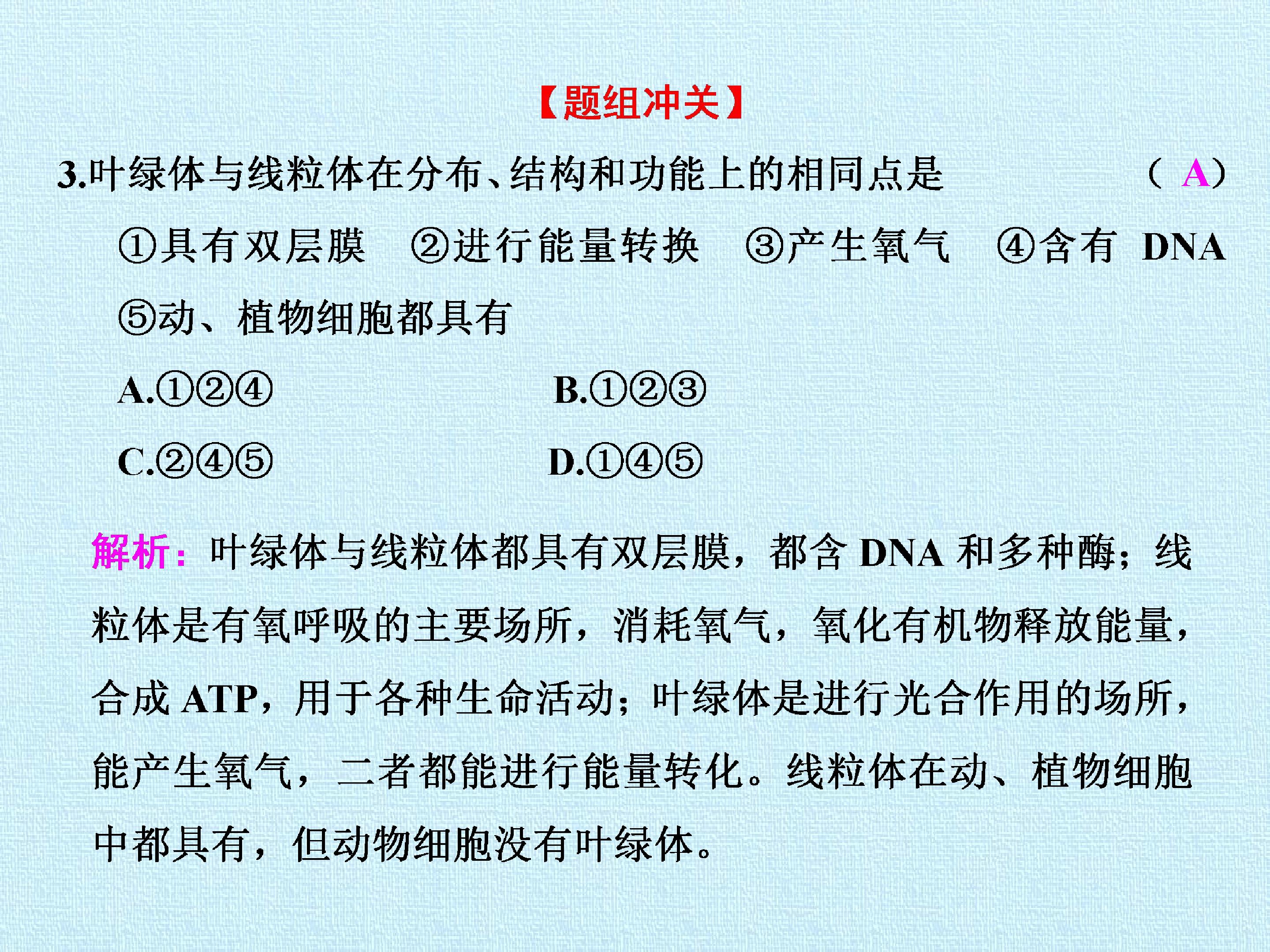 79.jpg