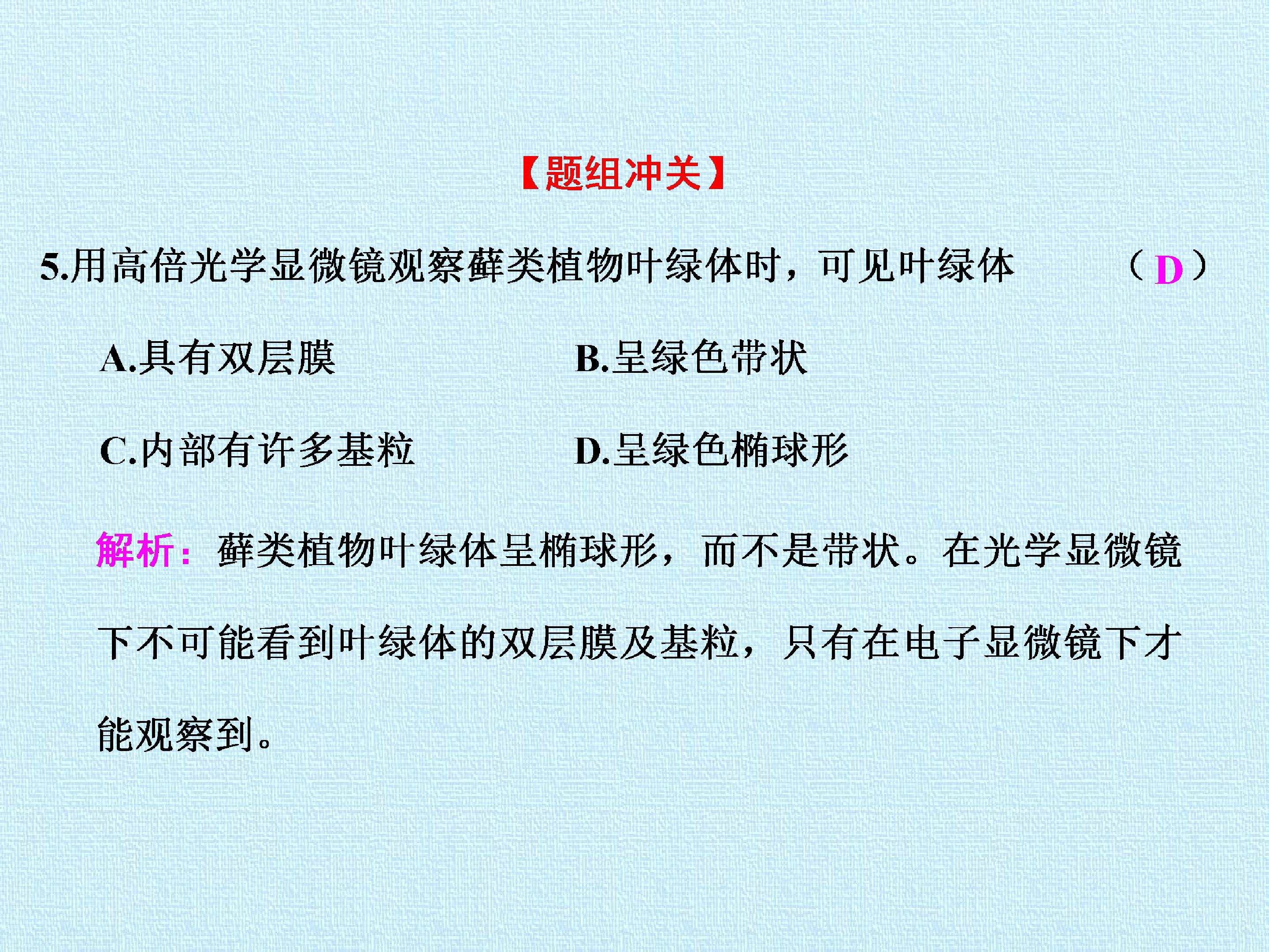 83.jpg