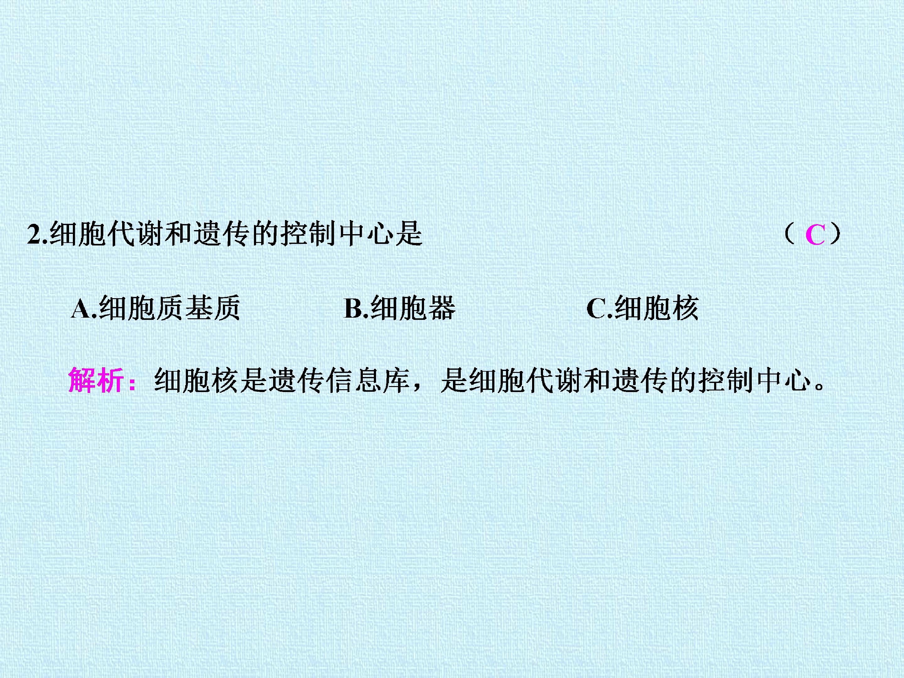 91.jpg