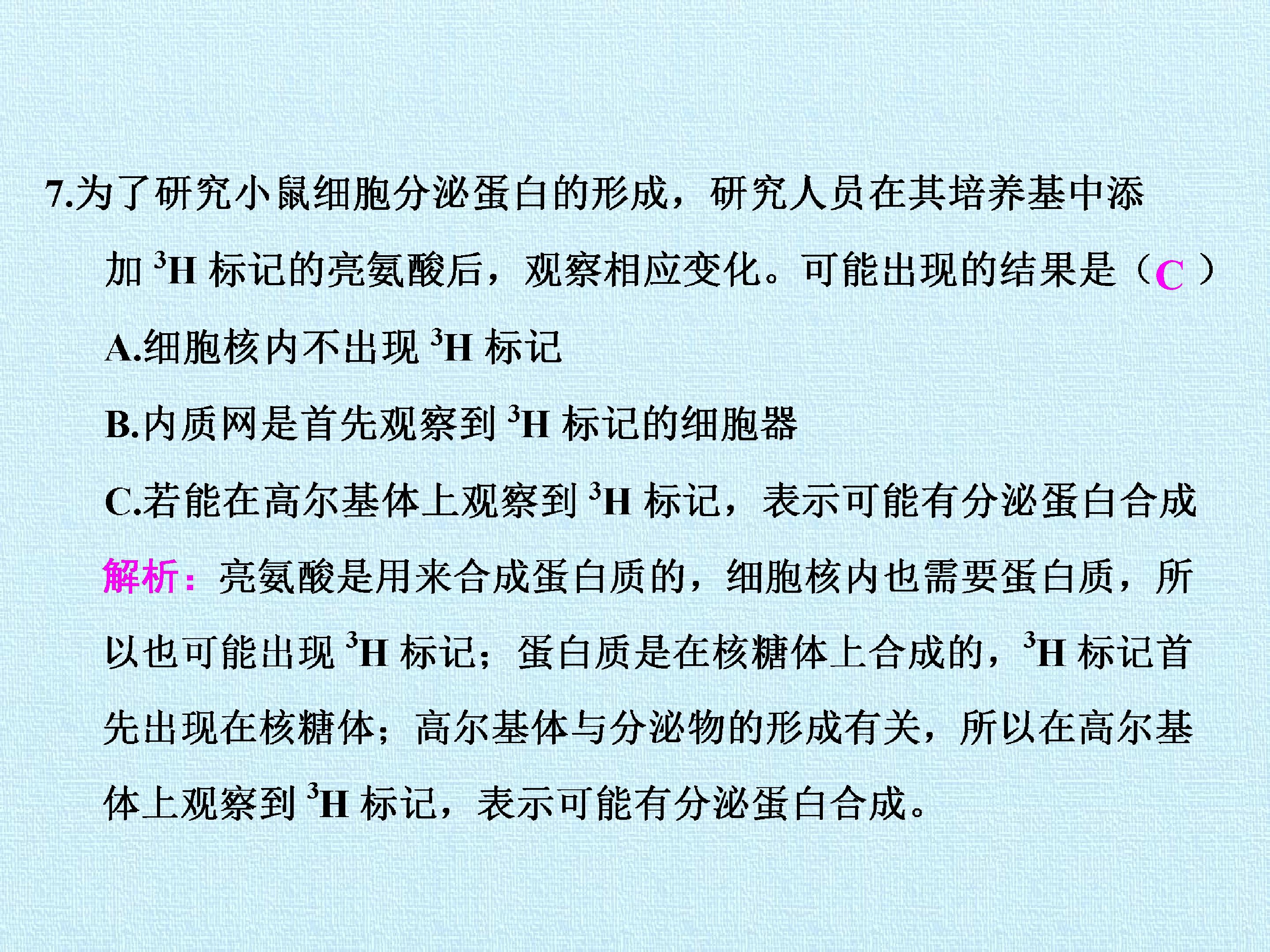 96.jpg