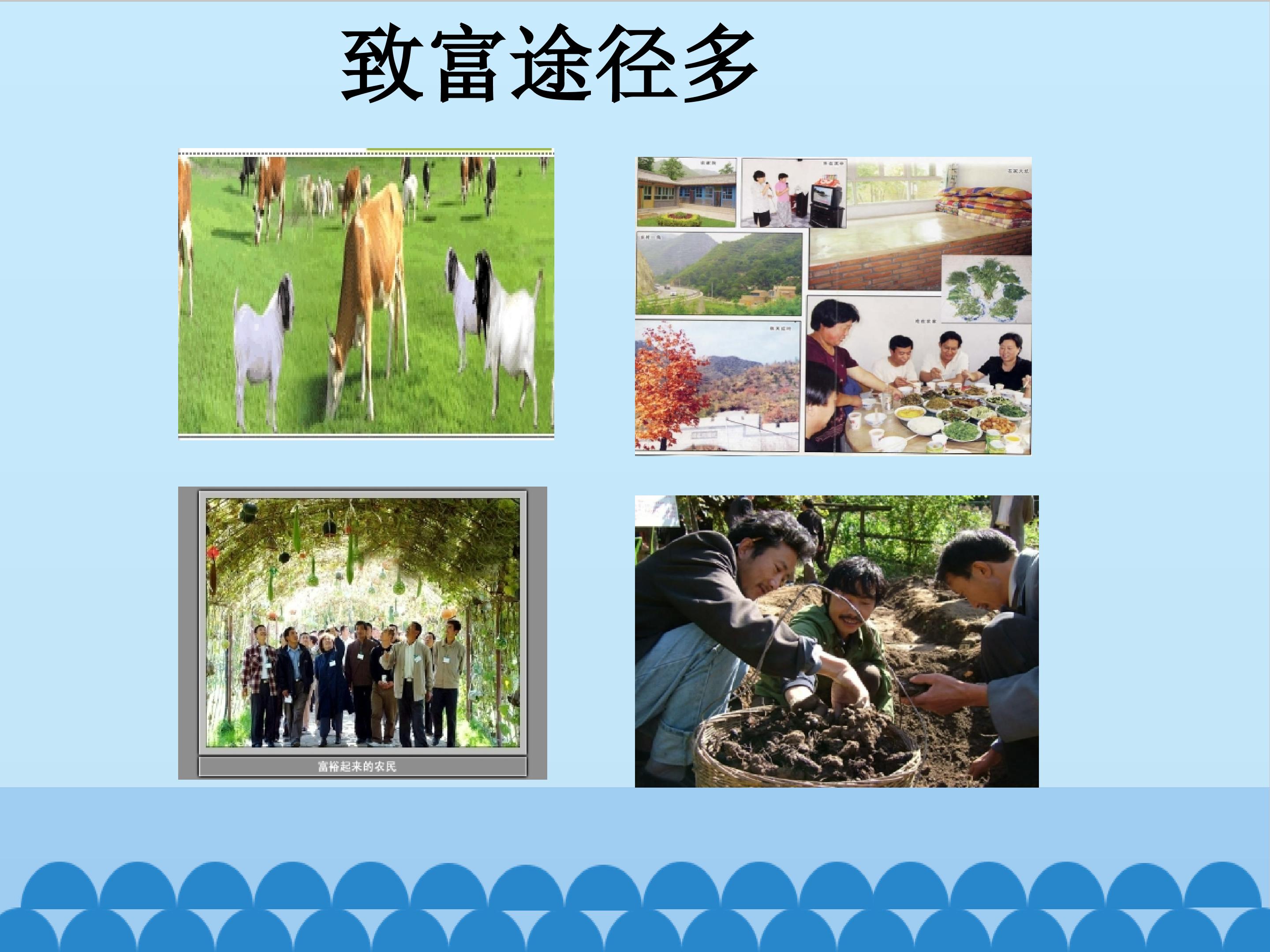 13.jpg