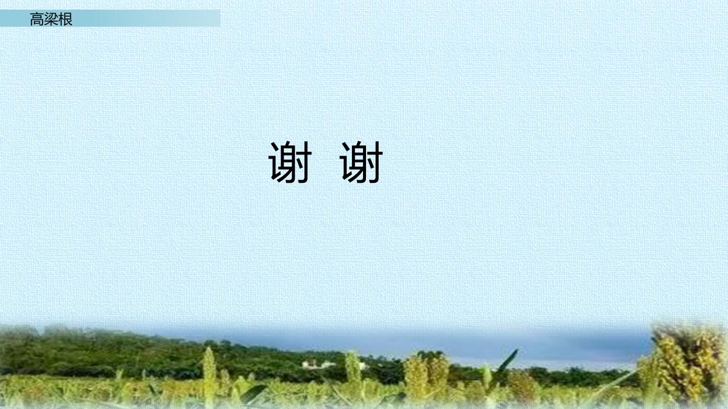 44.jpg