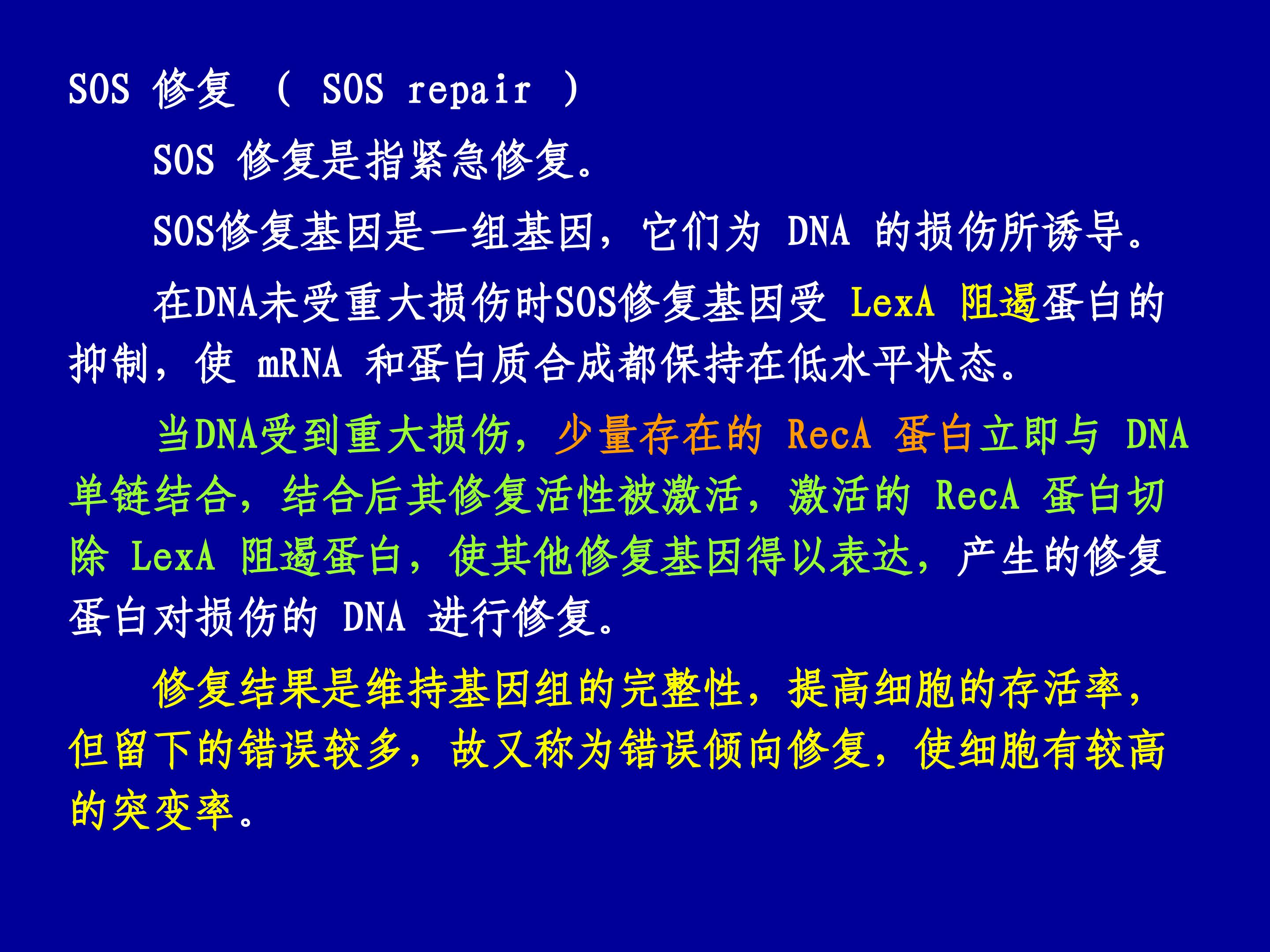 52.jpg