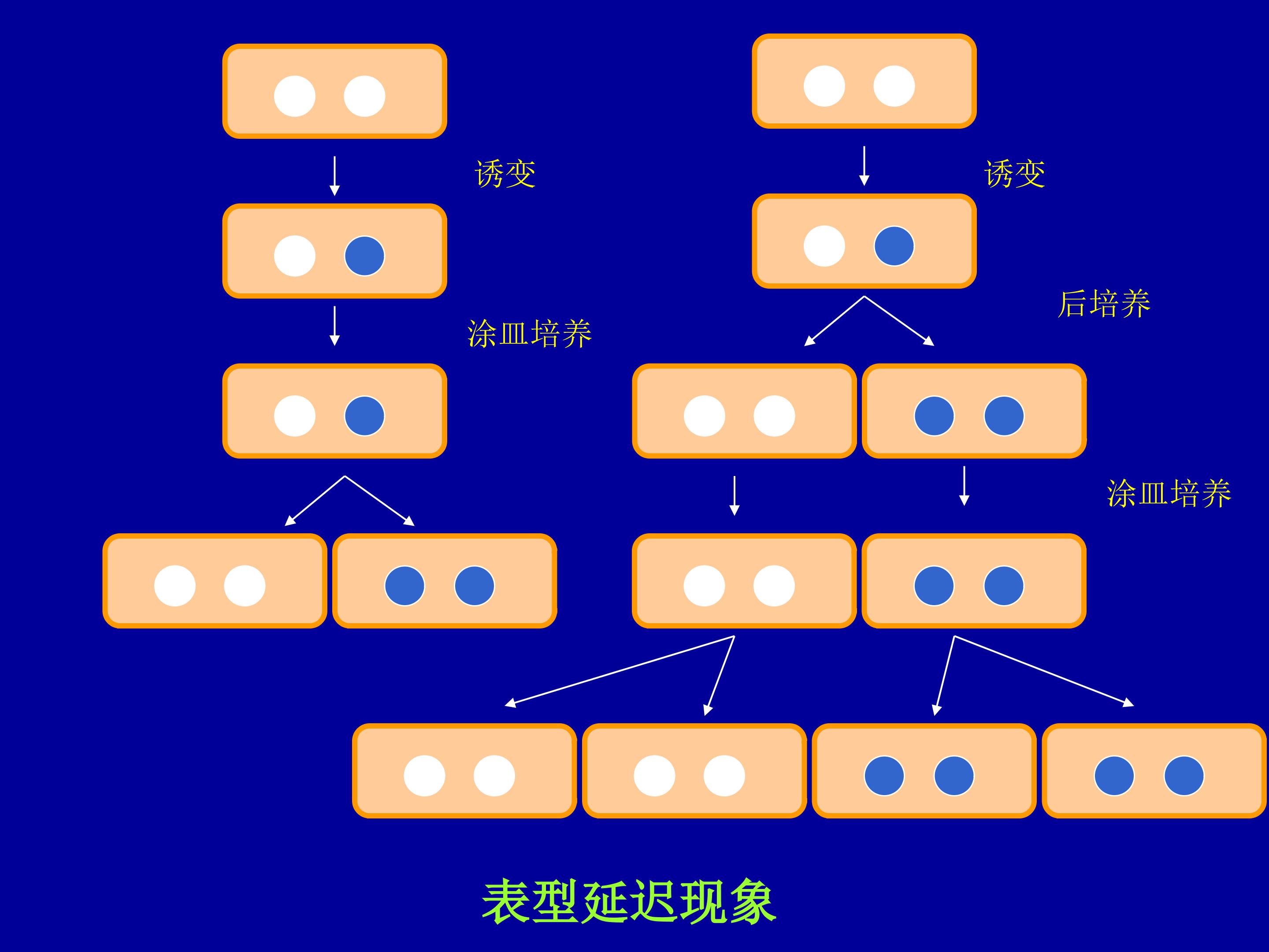 56.jpg