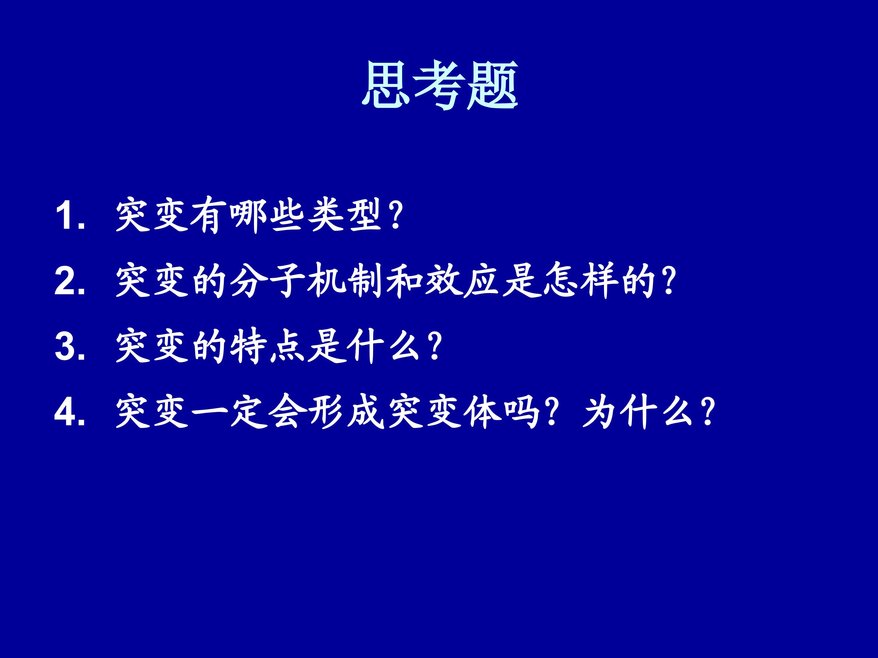 62.jpg