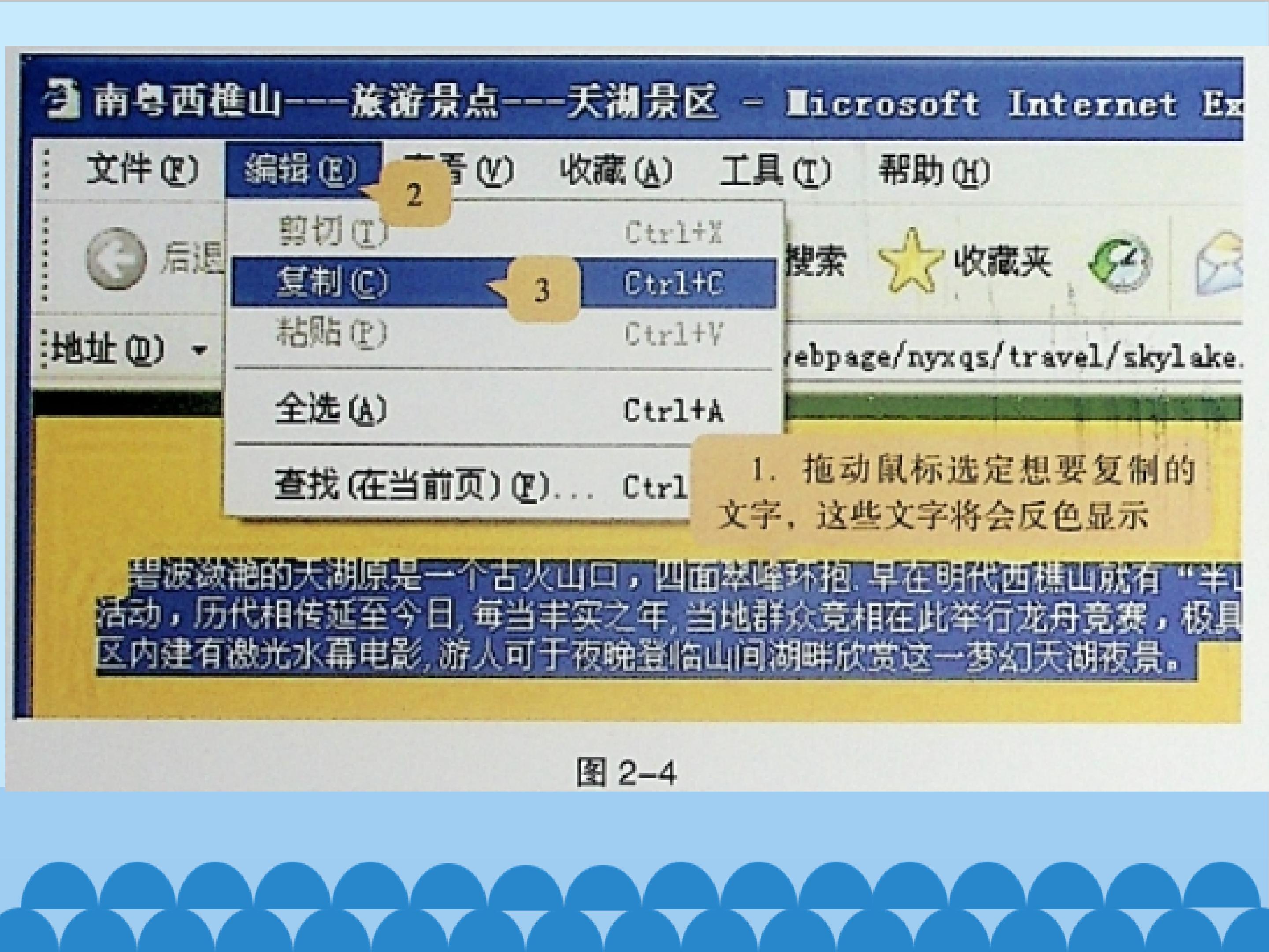 6.jpg