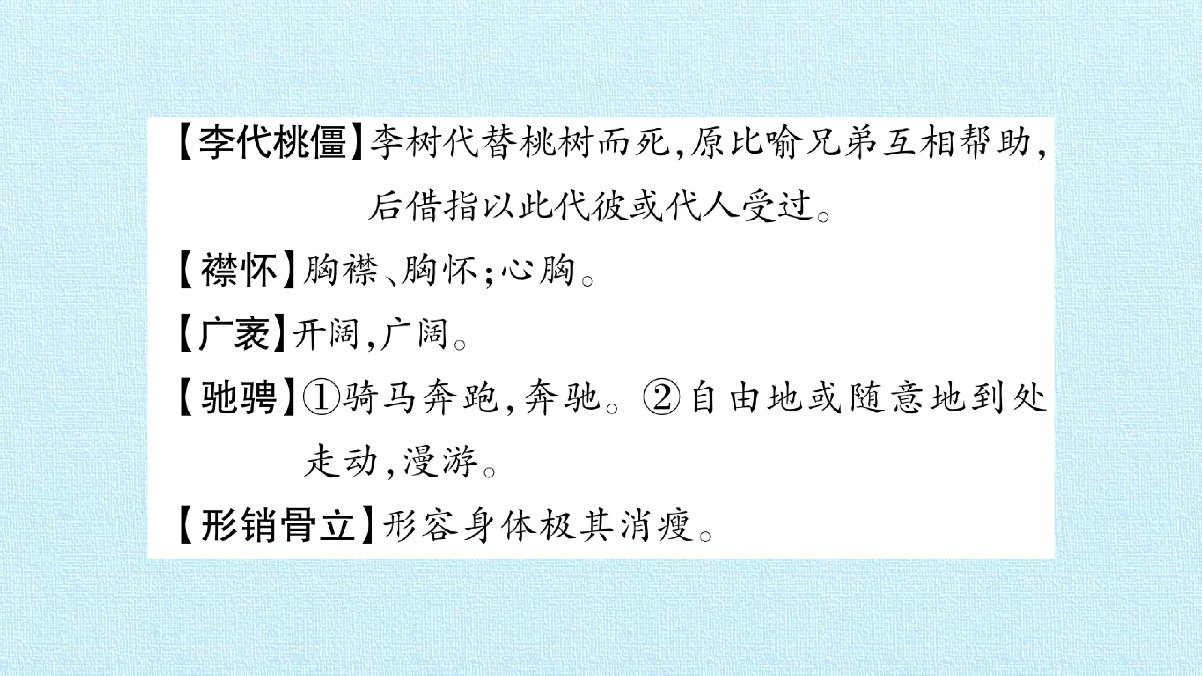 95.jpg