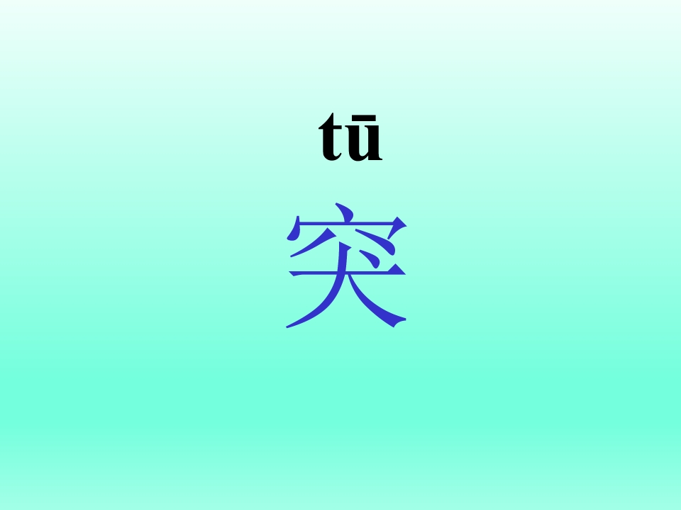15.jpg