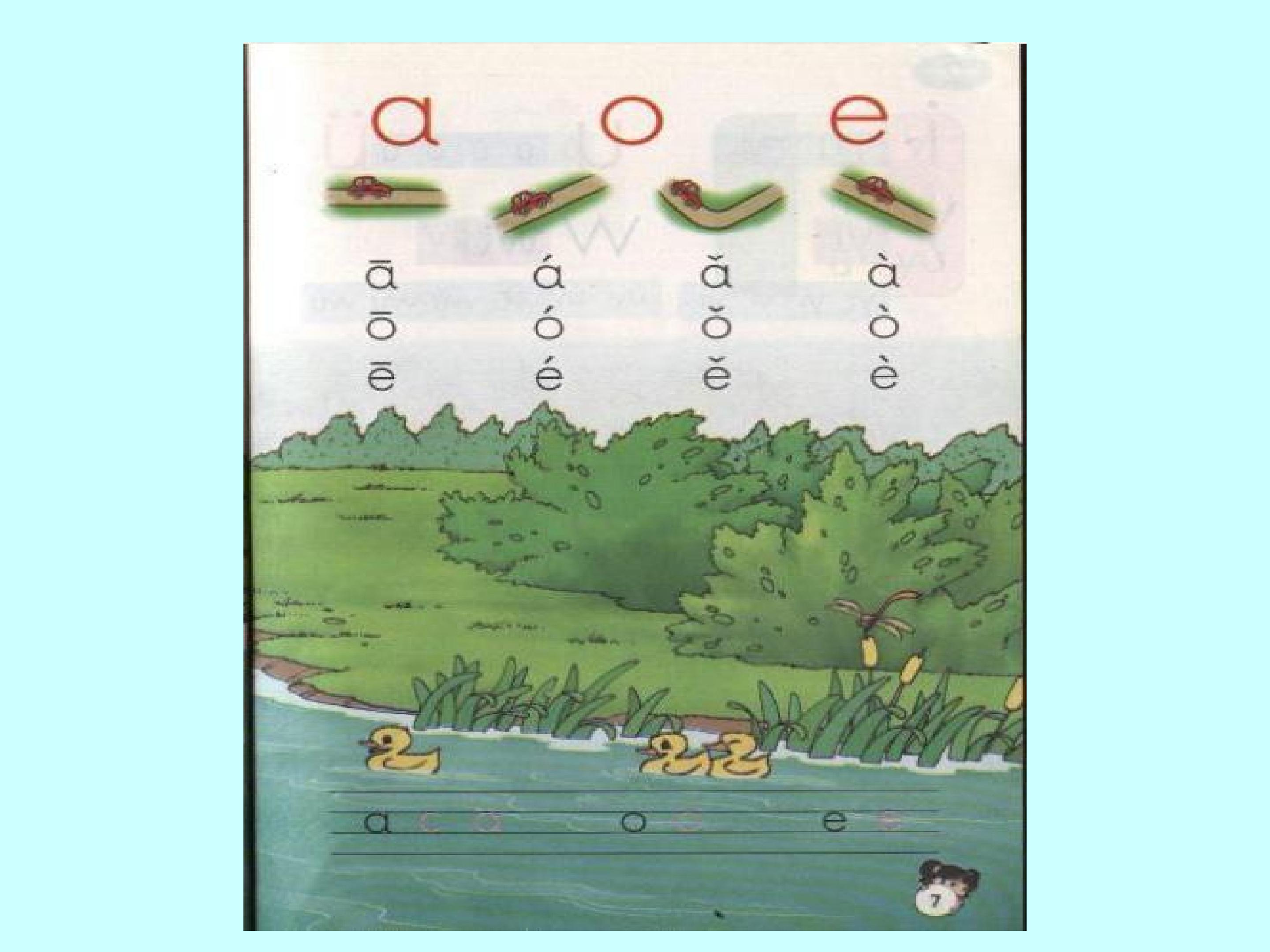27.jpg