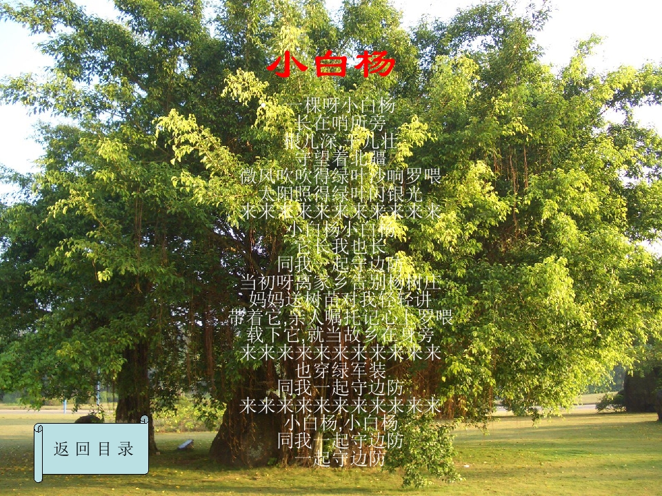 20.jpg