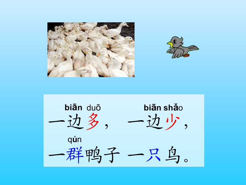 19.jpg(27)