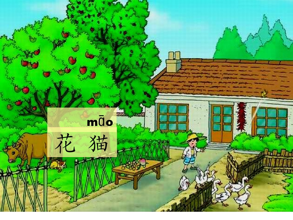 32_1562950289683.jpg(1)