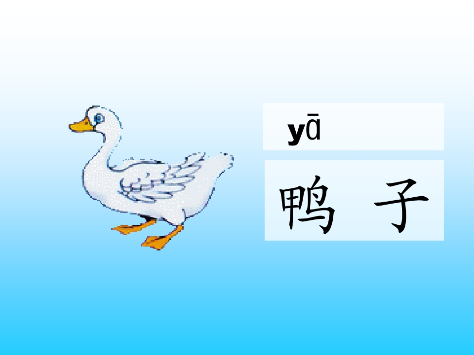 7_1562950295040.jpg(22)