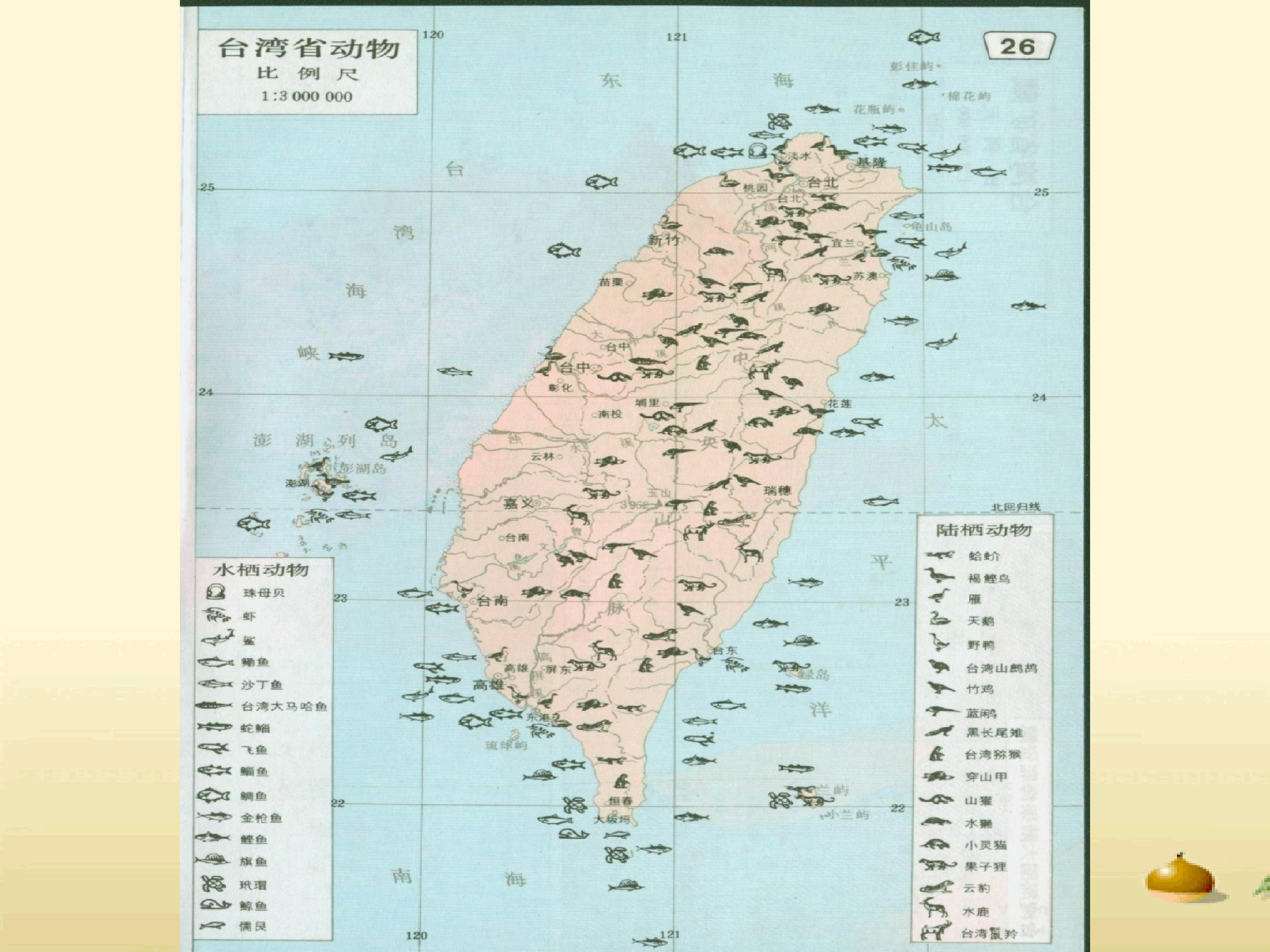 38.jpg