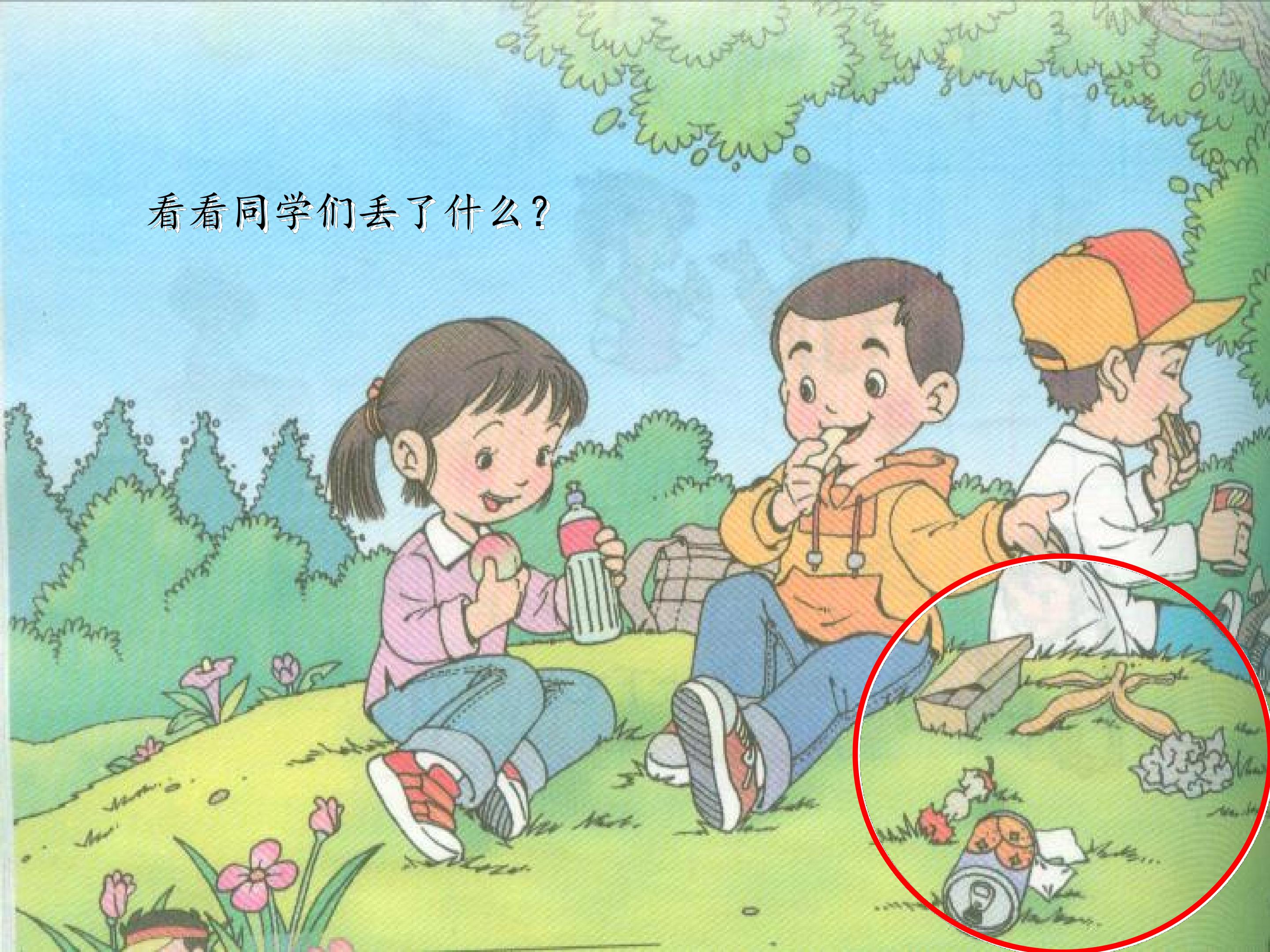 17.jpg