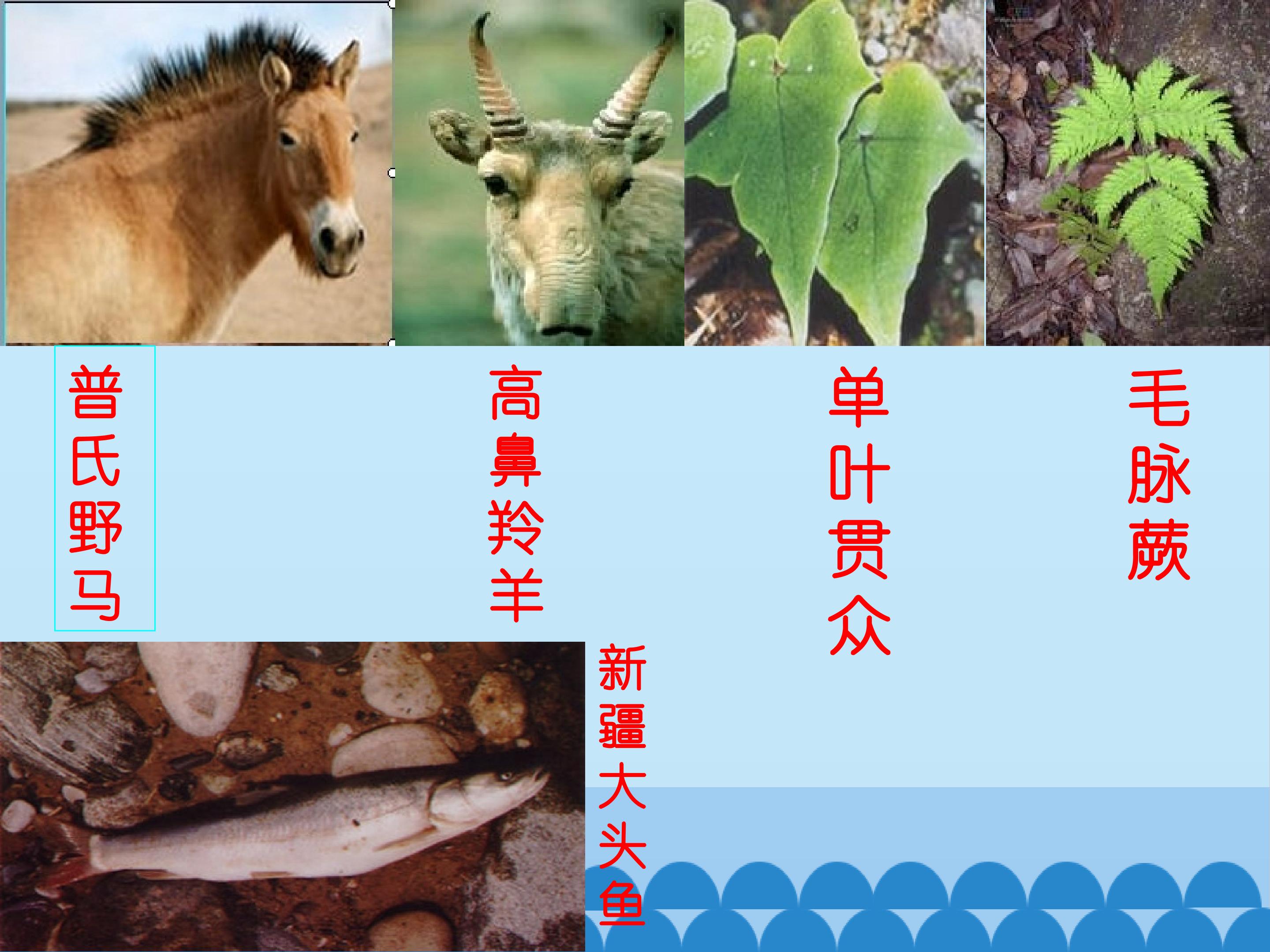 19.jpg