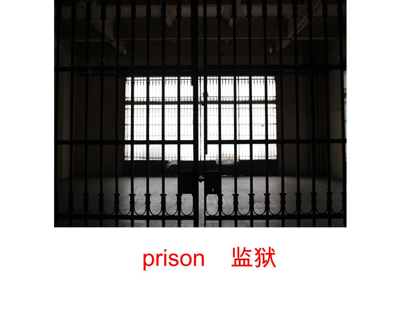 75.jpg