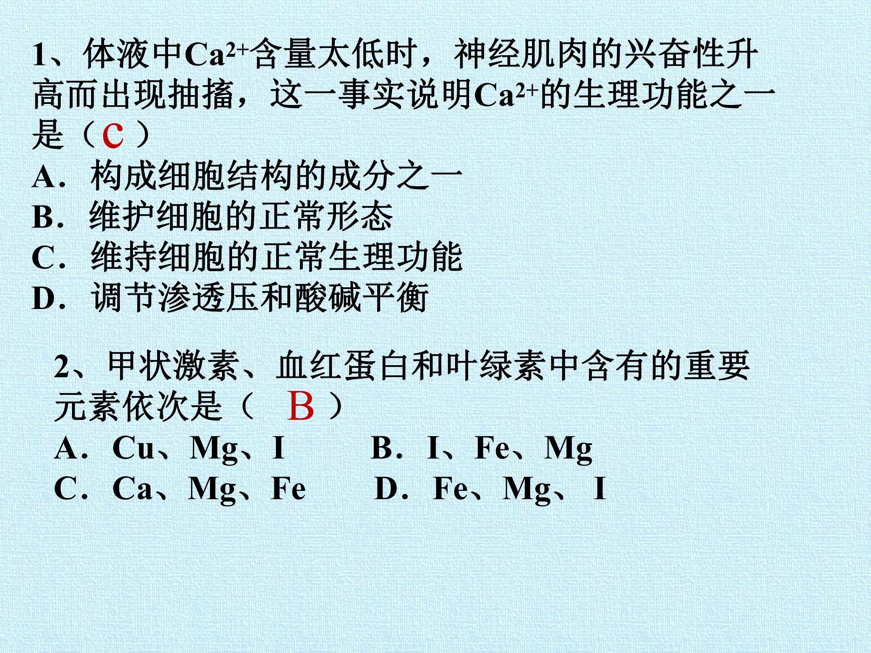 53.jpg