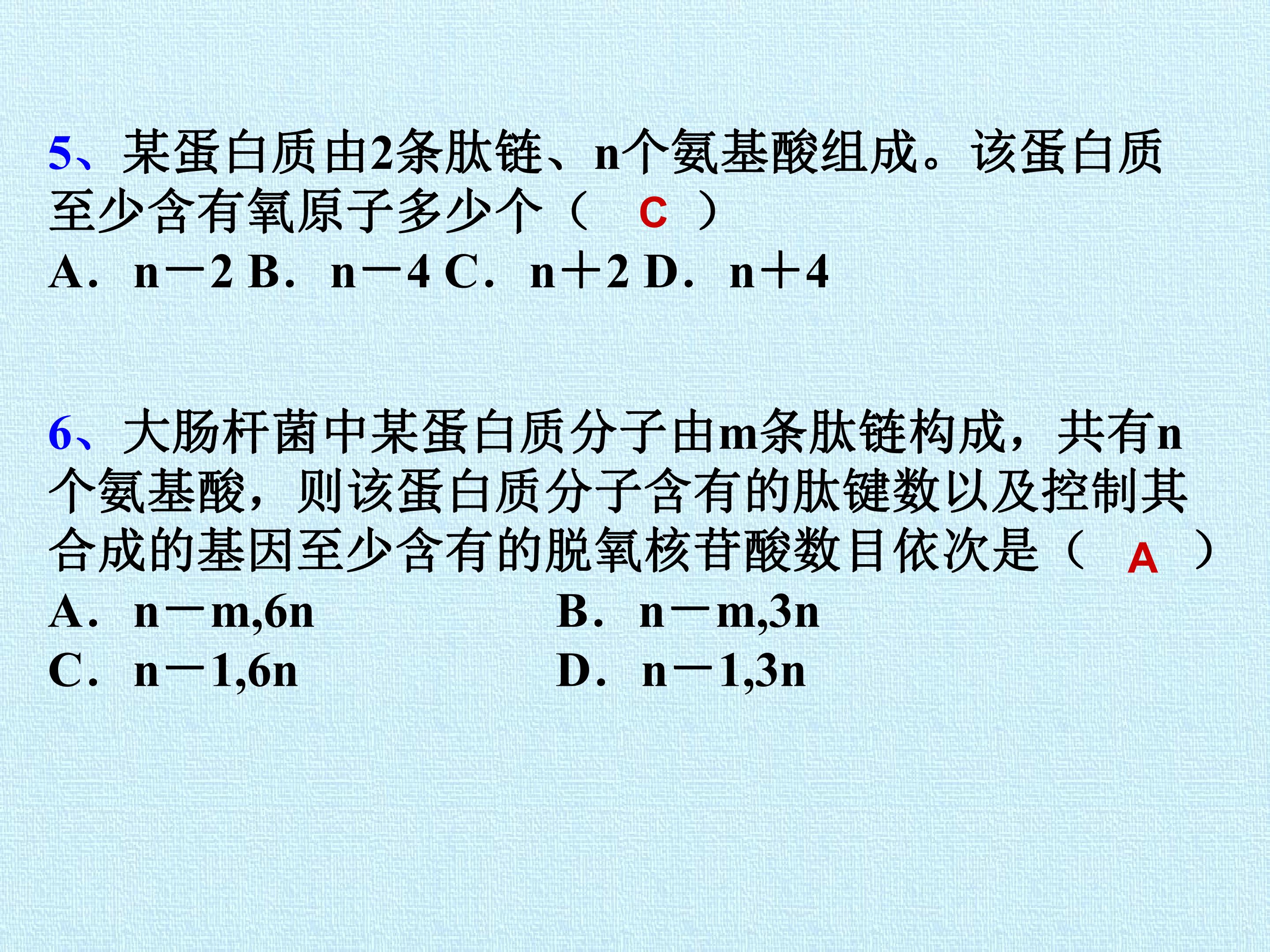 56.jpg