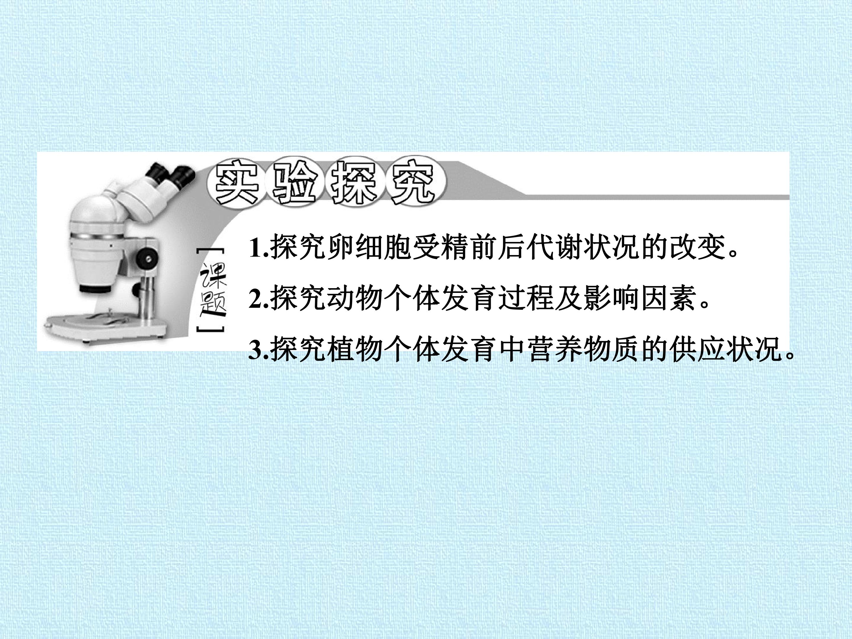 95.jpg