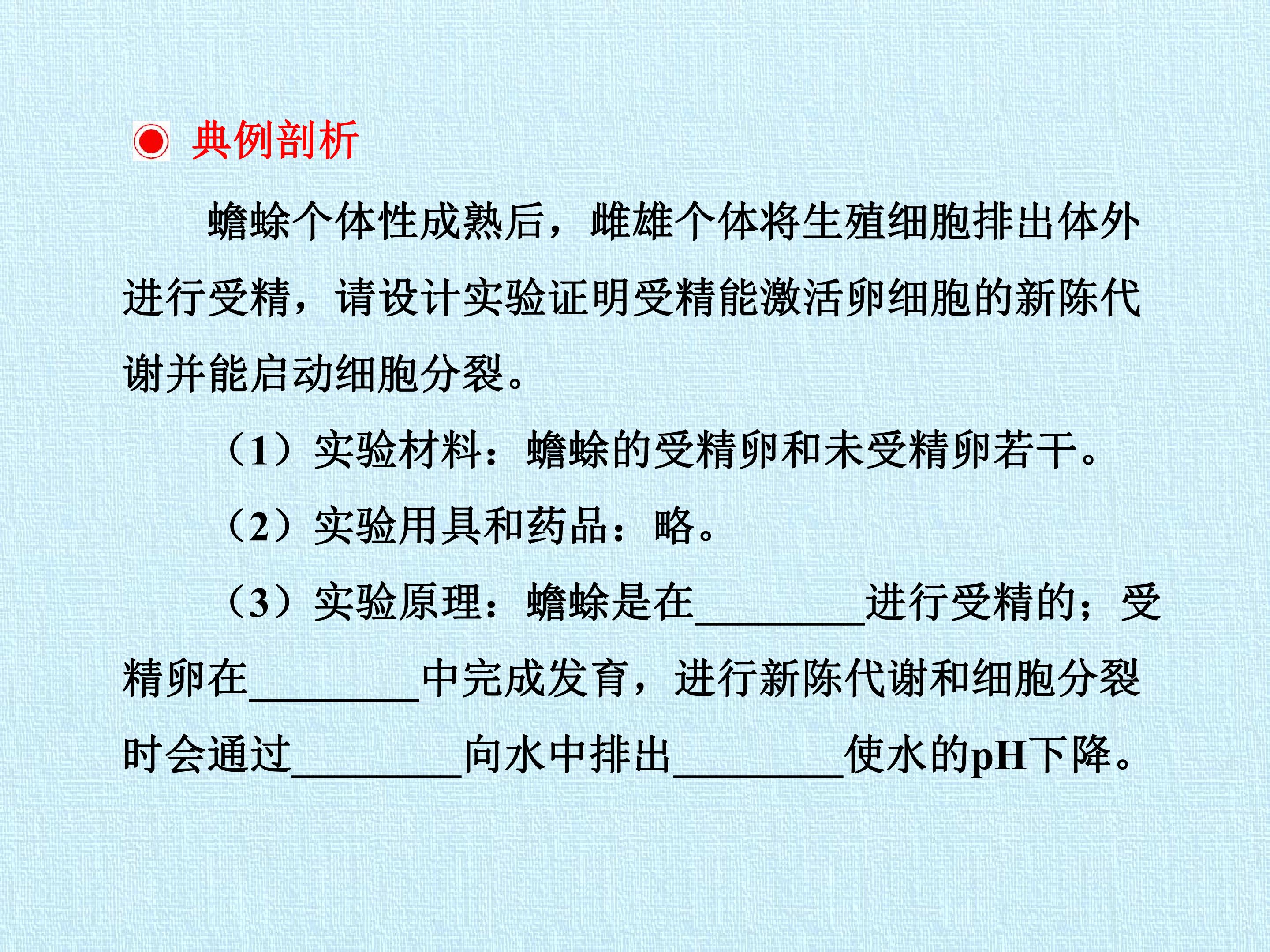 96.jpg