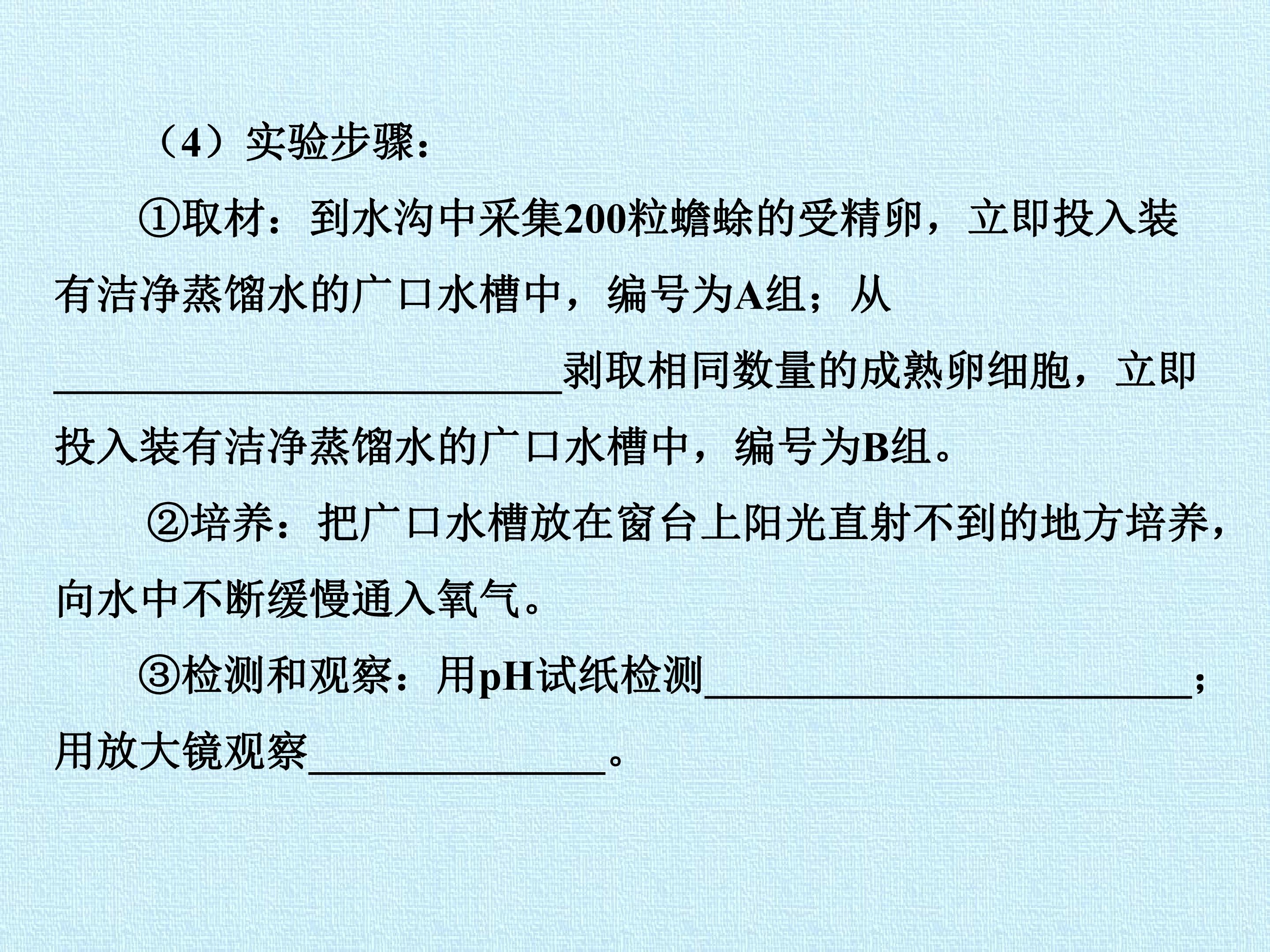 97.jpg