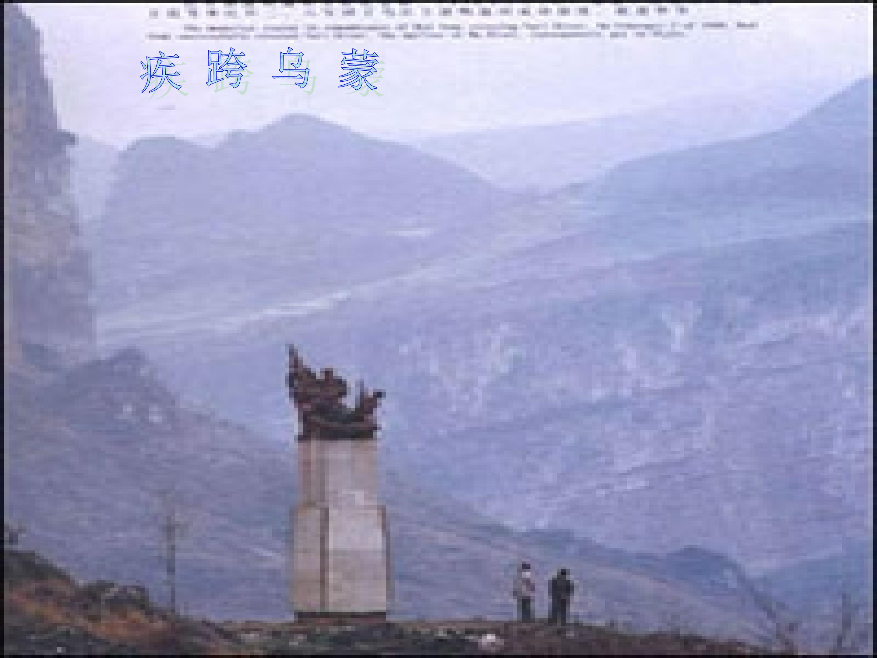 19.jpg